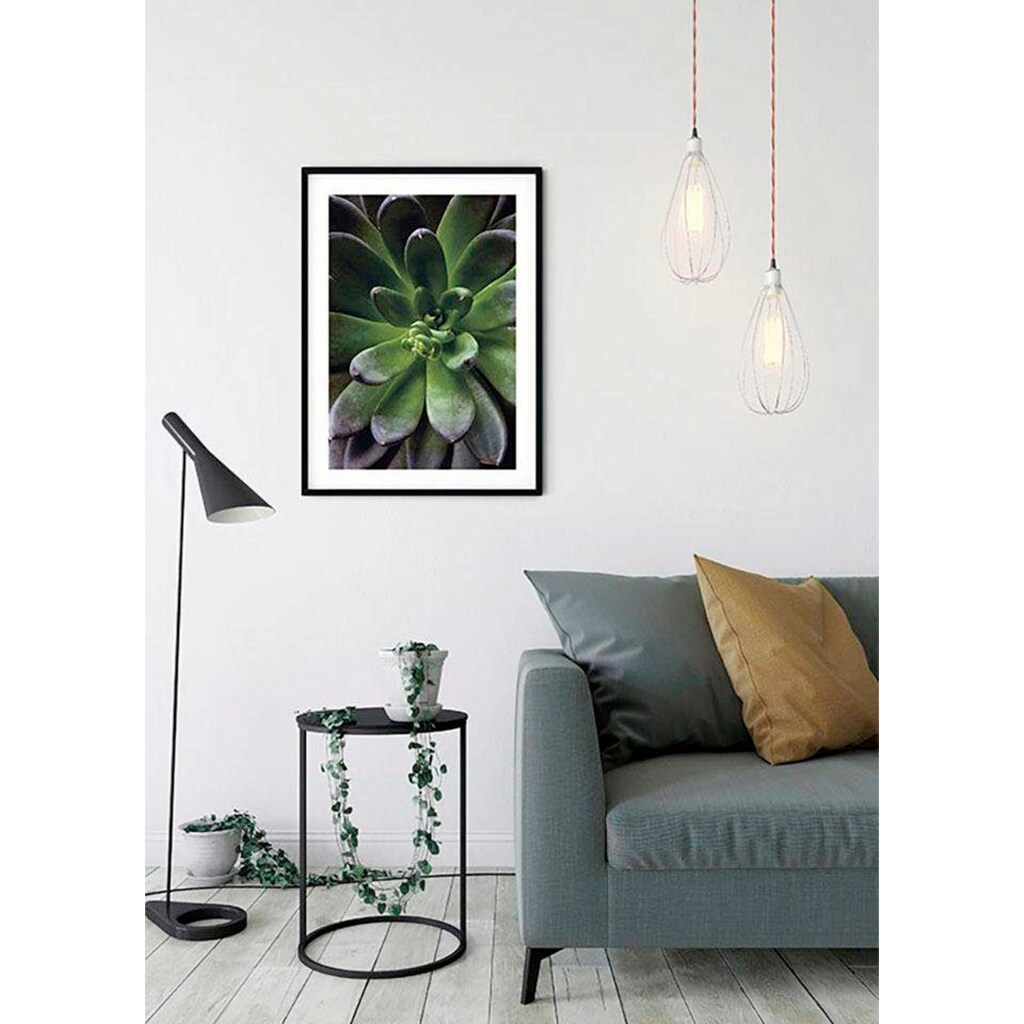 Komar Poster »Succulent Single«, Pflanzen-Blätter, Höhe: 70cm