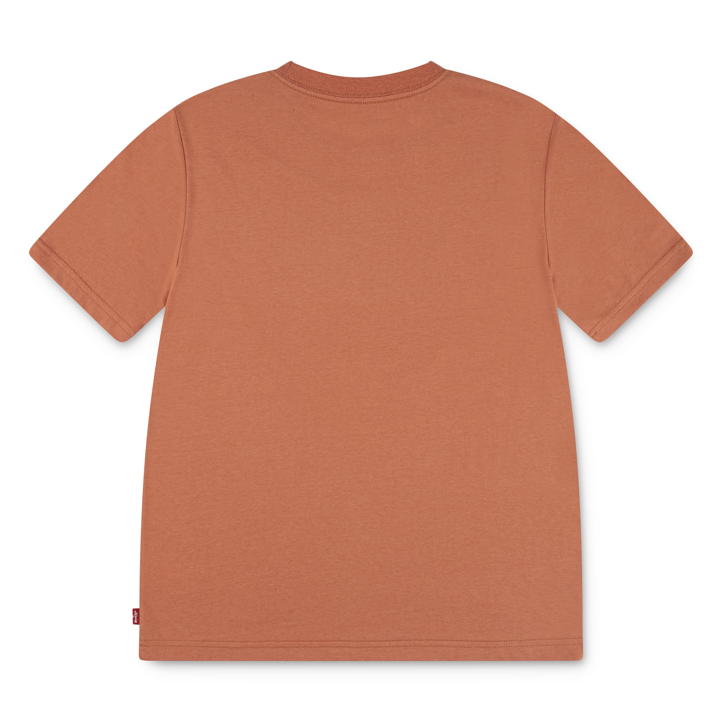 Levi's® Kids T-Shirt »LVB DESERT TRAIL TEE«, mit Wüstenprint, for Boys