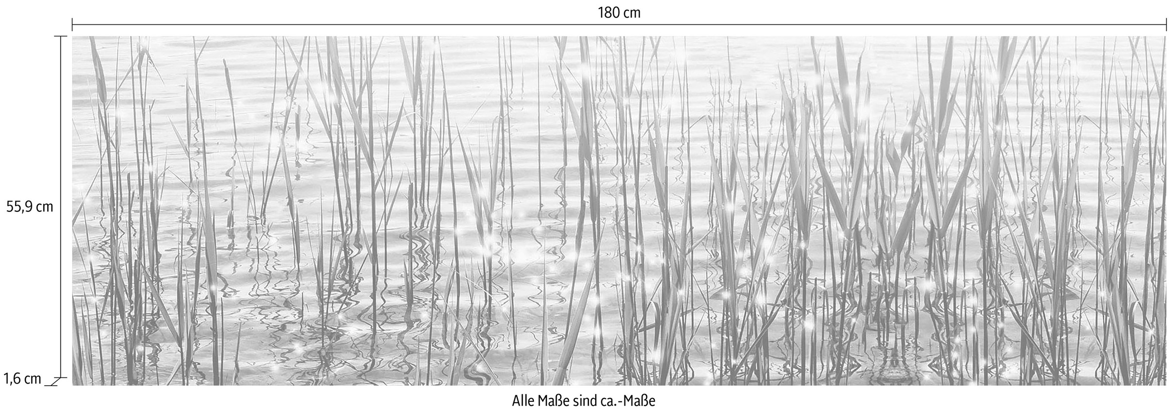 Express Küchen Küchenrückwand »Seegras«, (1 tlg.)