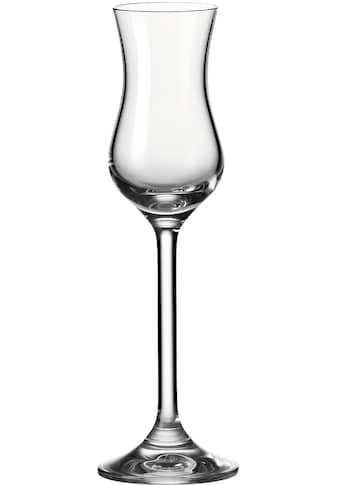 LEONARDO Grappaglas »Daily«, (Set, 6 tlg.), 100 ml, 6-teilig kaufen