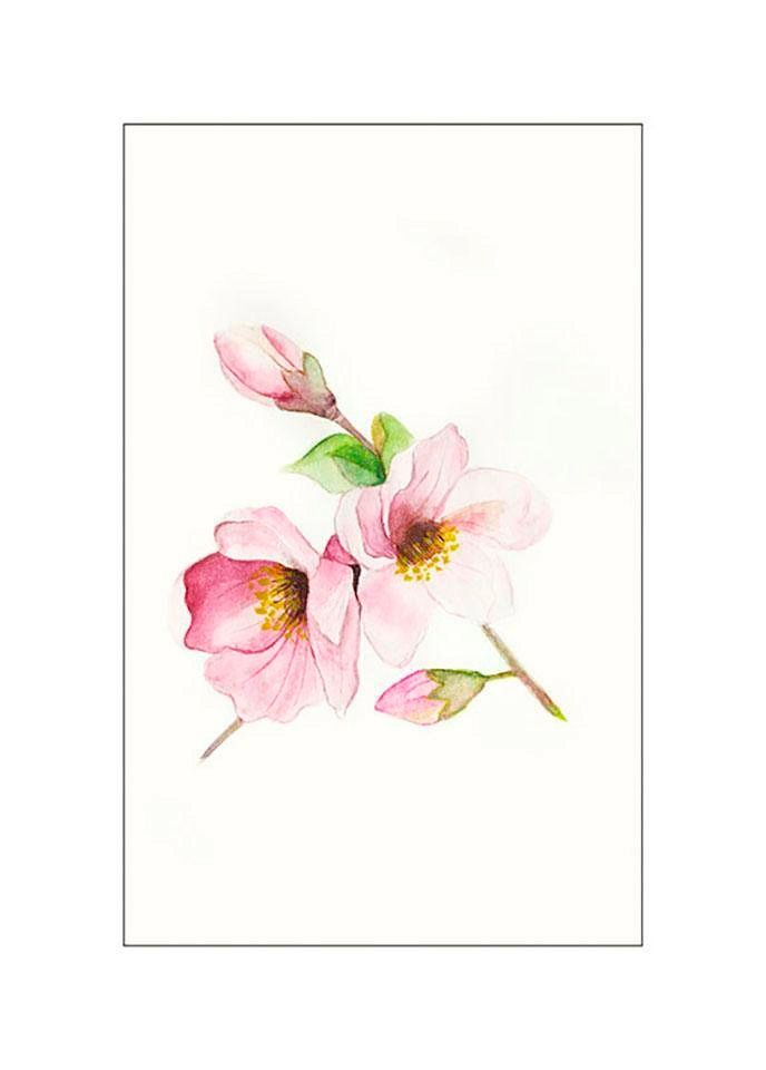 Komar Bild »Magnolia Breathe«, Blumen, (1 St.), Wandbild zur Dekoration - ohne Rahmen