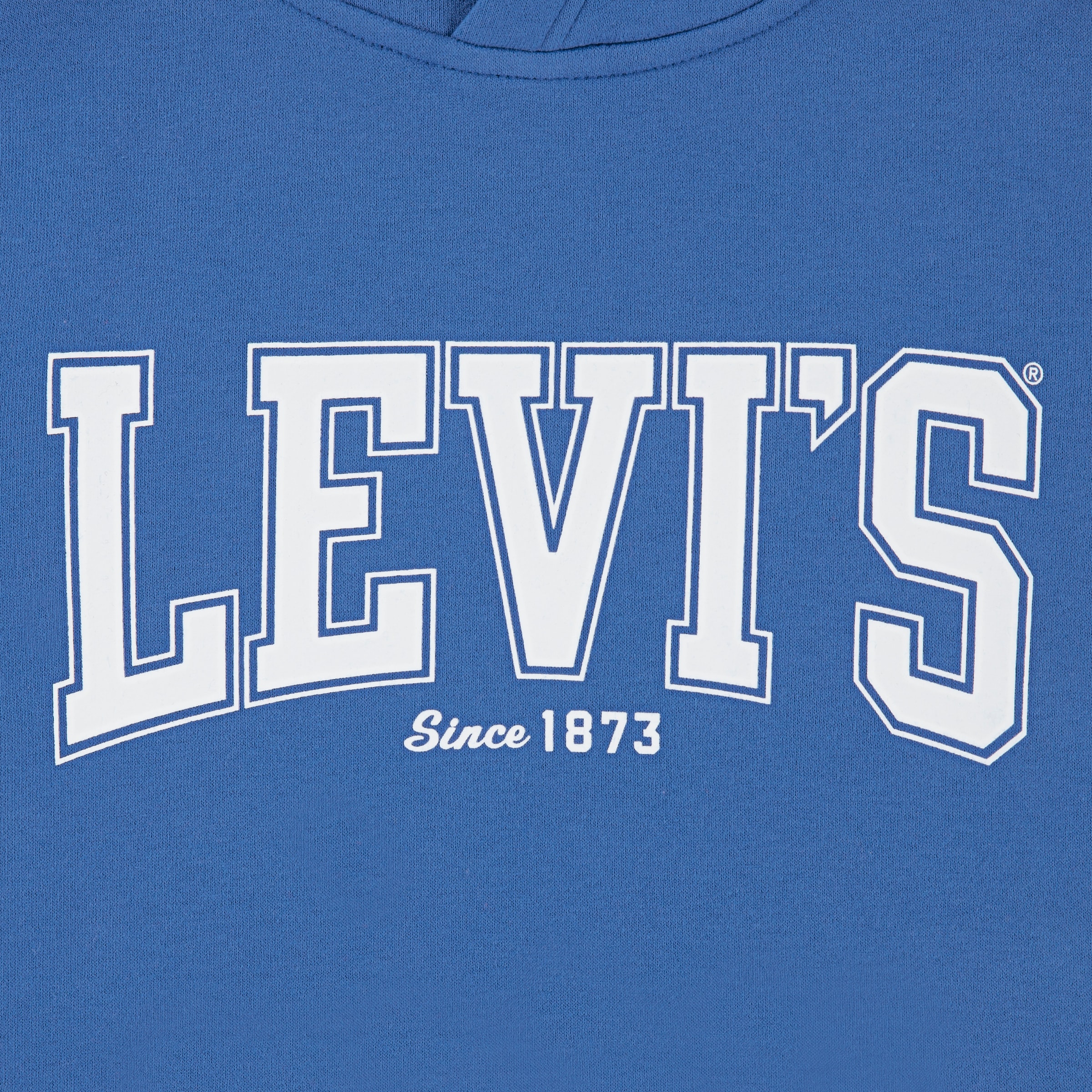 Levi's® Kids Kapuzensweatshirt »LVB THE GREAT HIGHWAY HOOD«, mit kleinem Ärmelbadge