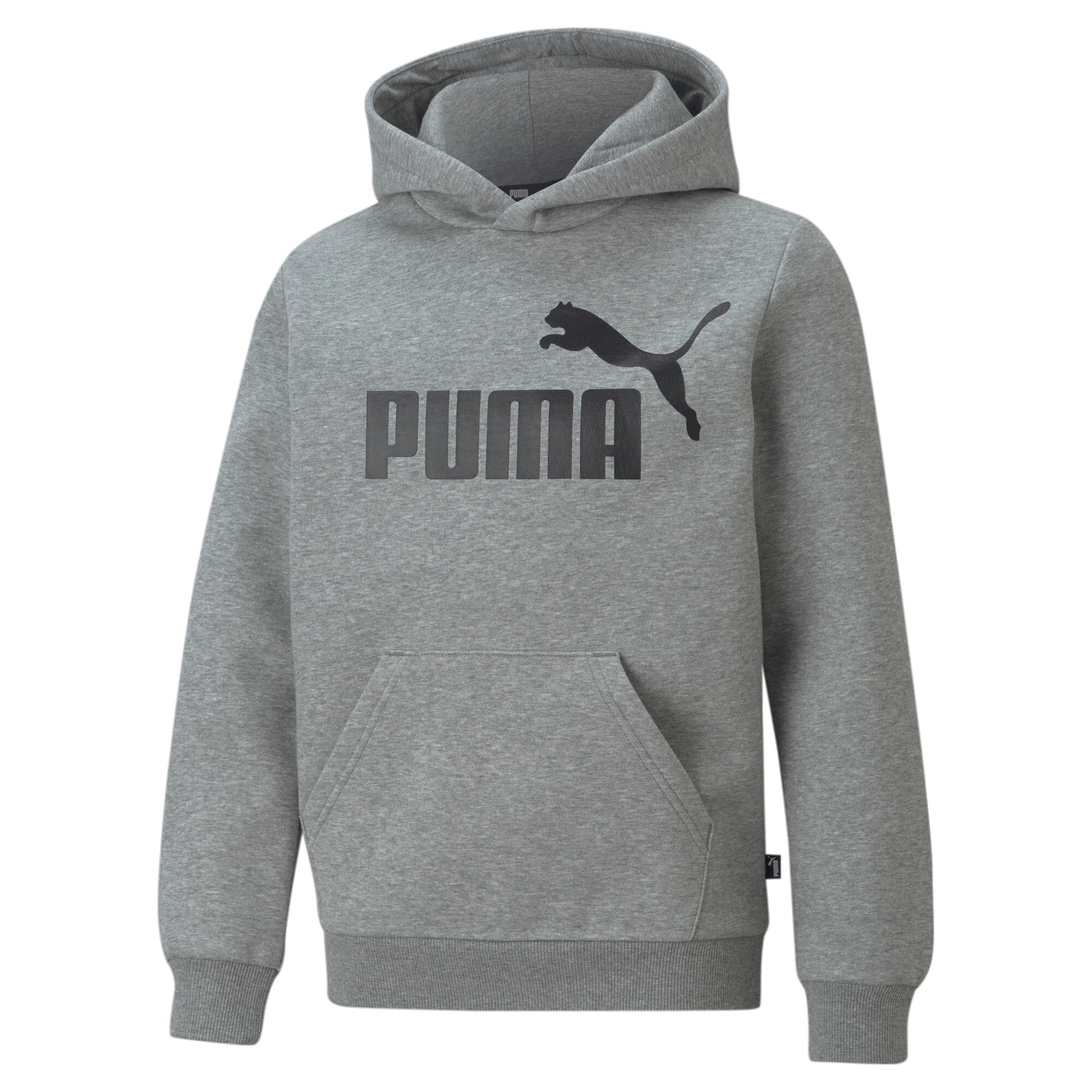 PUMA Kapuzensweatshirt »ESS BIG LOGO HOODIE FL B«