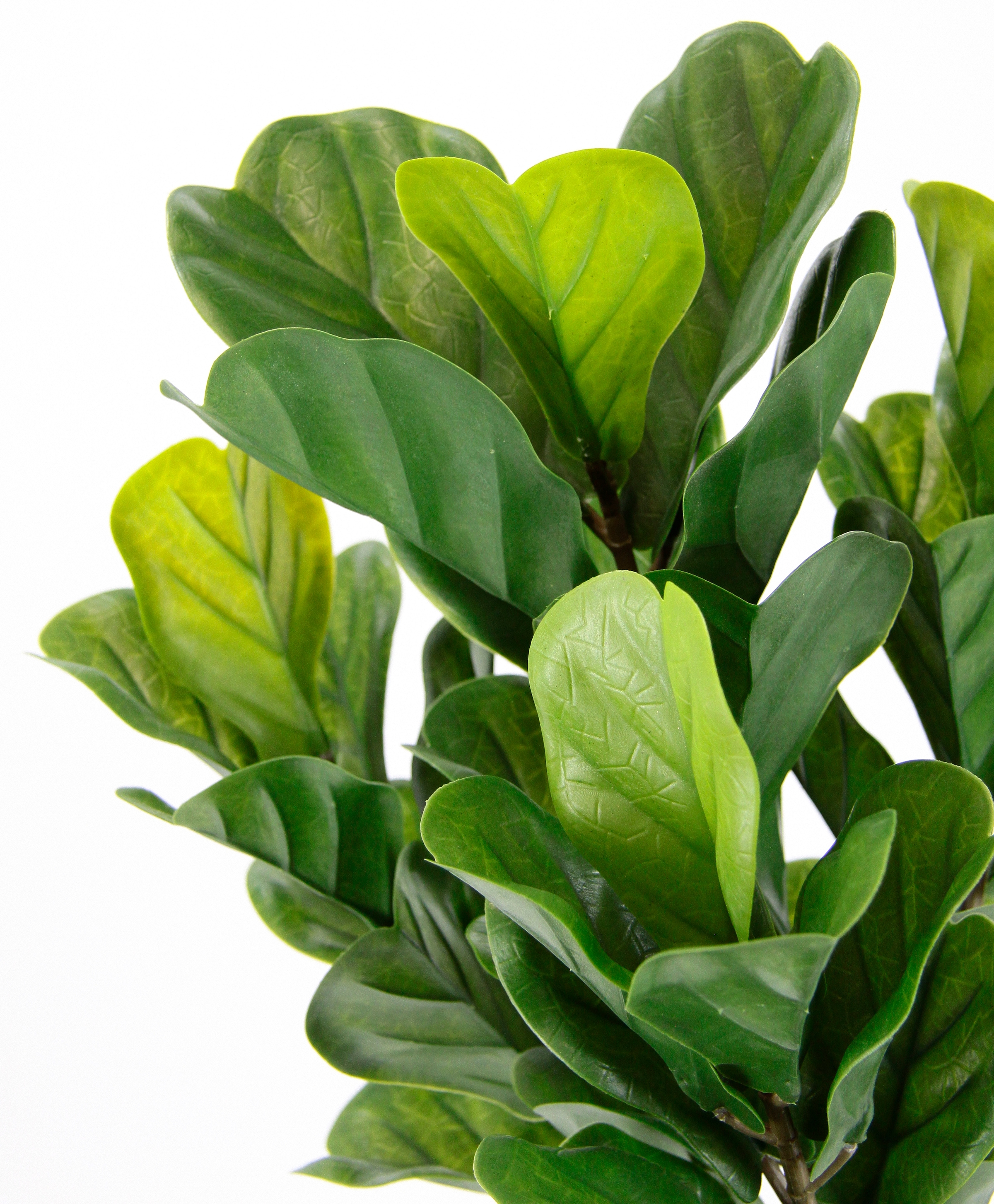 I.GE.A. Kunstpflanze »Künstliche Pflanze Feigenbaum Kunstpflanze Zimmerpflanze Grünpflanze« Kunstbaum Feigenblattpflanze Feigenbaum Pflanze Kunstbaum Dekopflanze