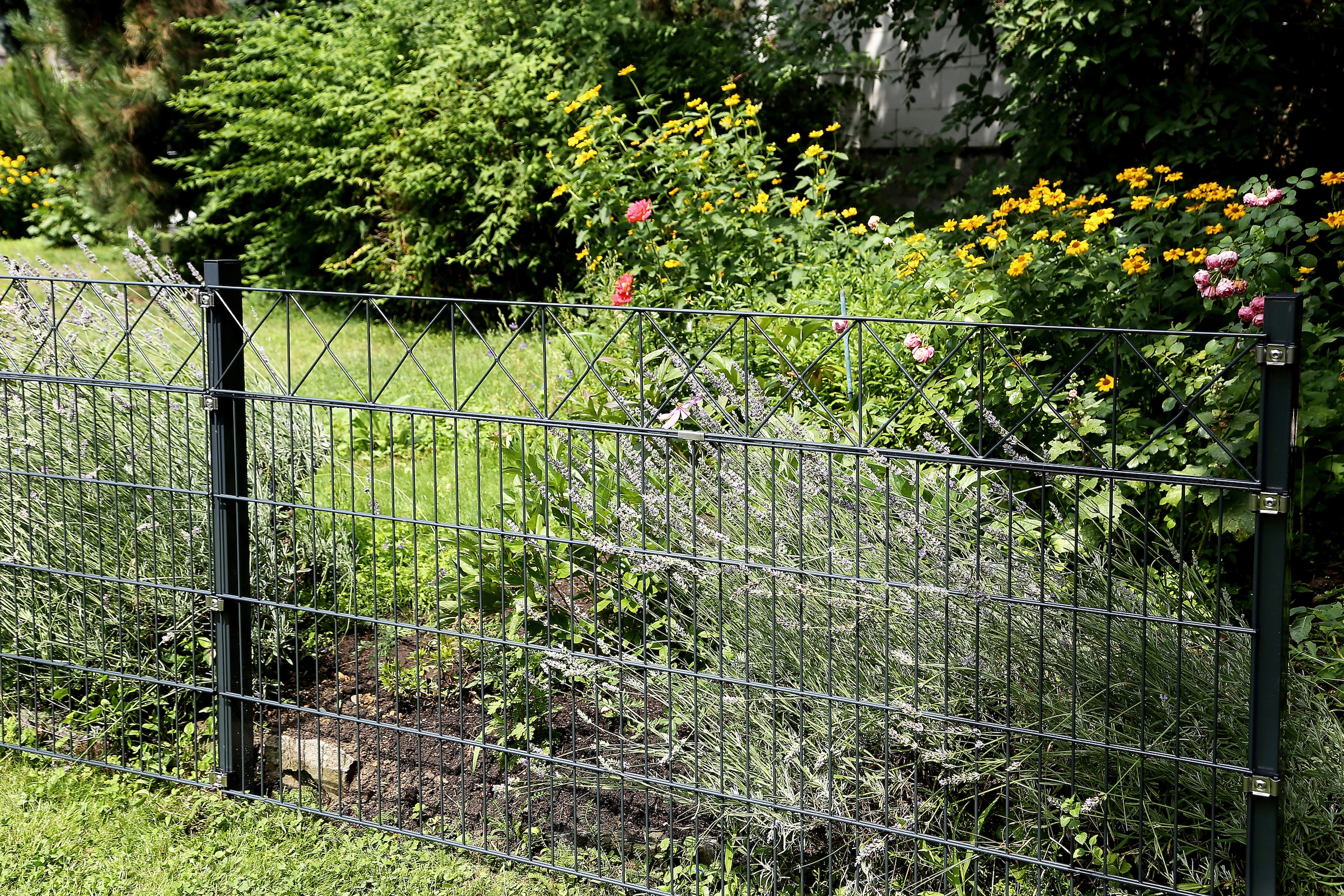 Alberts Doppelstabmattenzaun »Nexus« anthrazit, Höhe: 100-160cm, Gesamtlänge: 10-20m, zum Einbetonieren