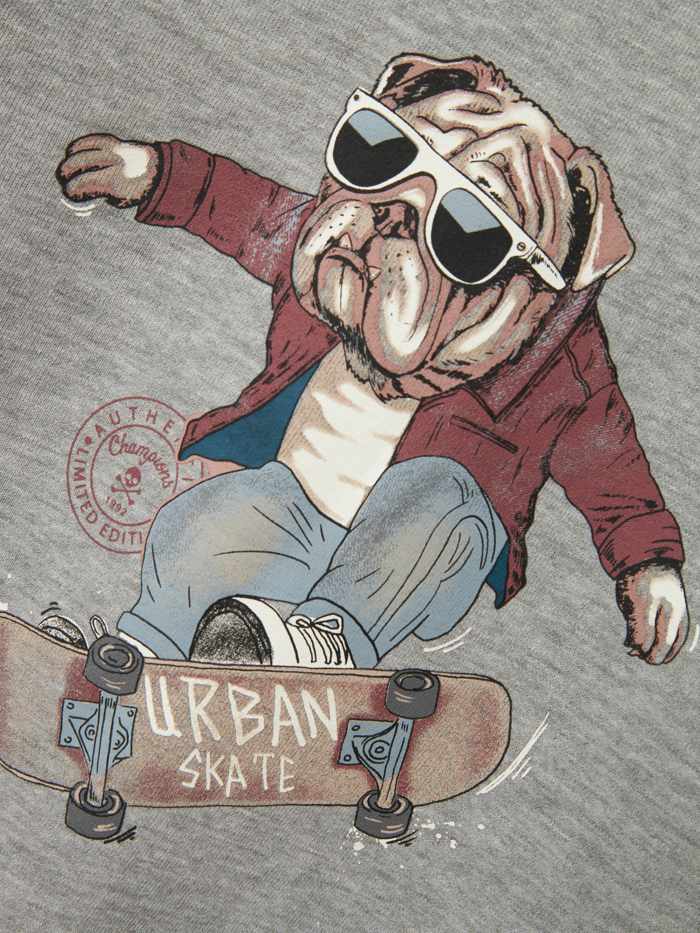Name It Sweatshirt »NKMTEHOGO LS SWEAT BRU BOX«