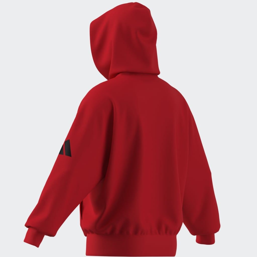 adidas Sportswear Kapuzensweatshirt »M HD FT«