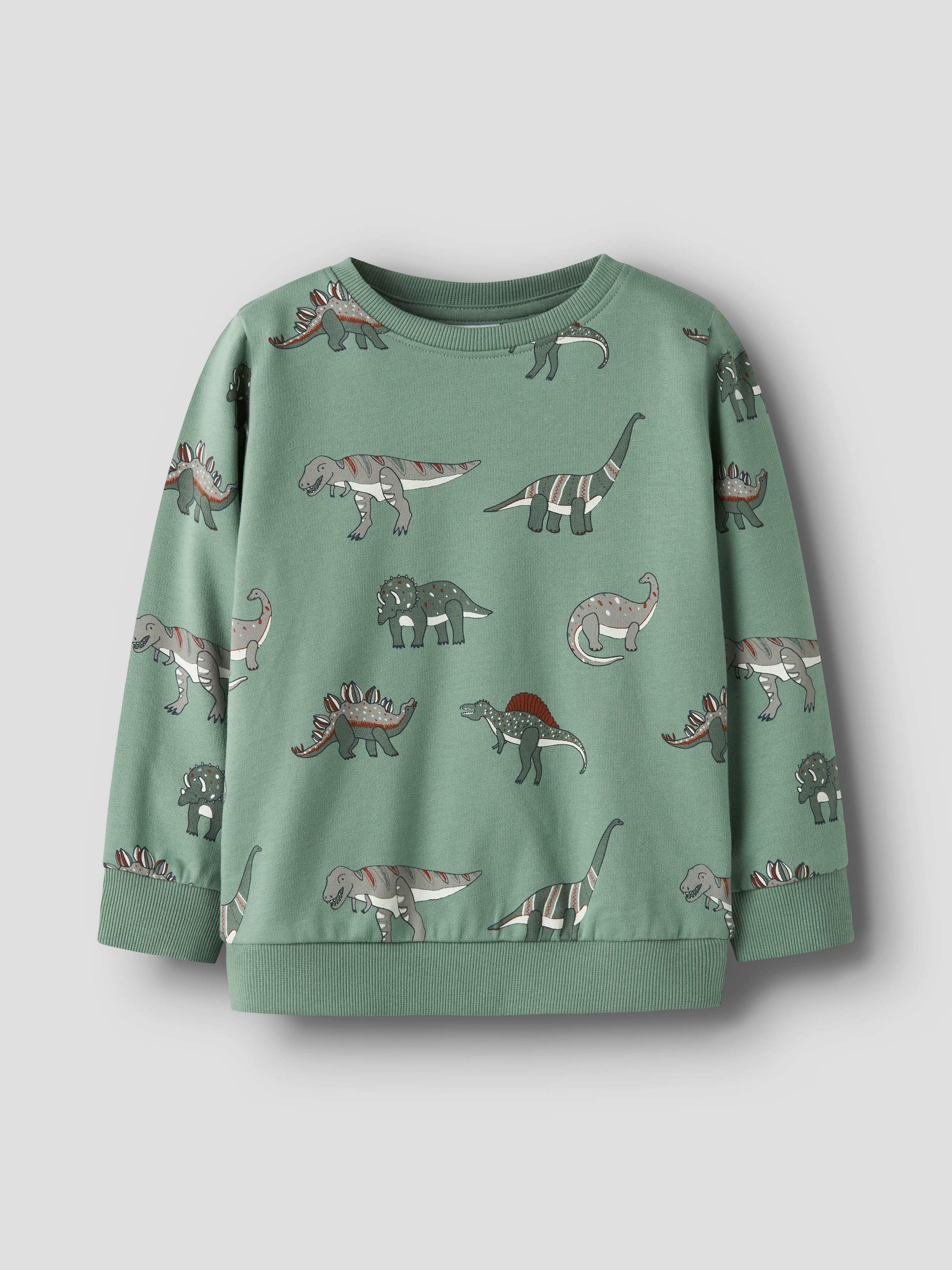 Name It Sweatshirt »NMMNENEAN LS SWE BRU PB«