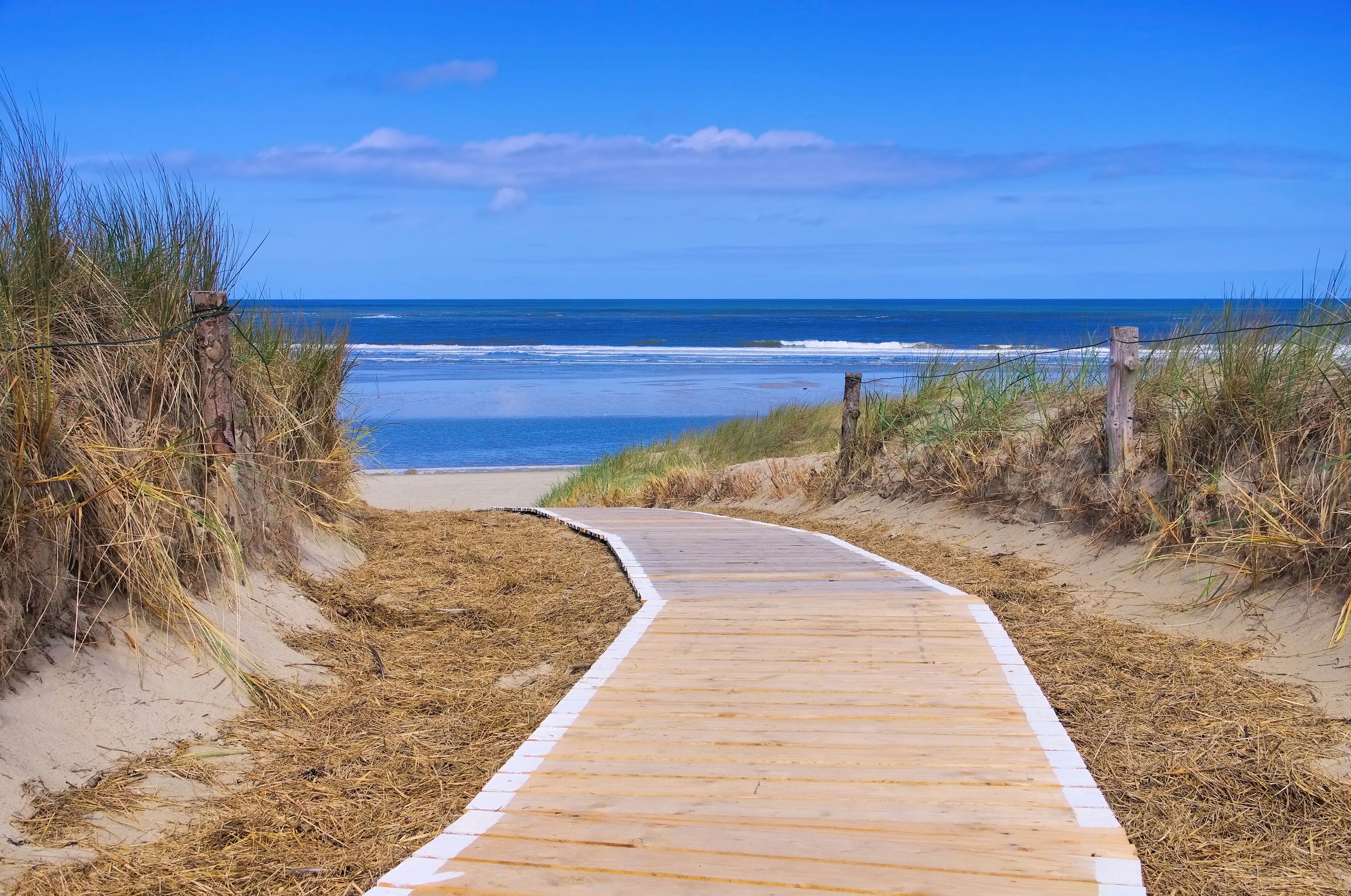 Papermoon Fototapete »Langeoog Dunes«