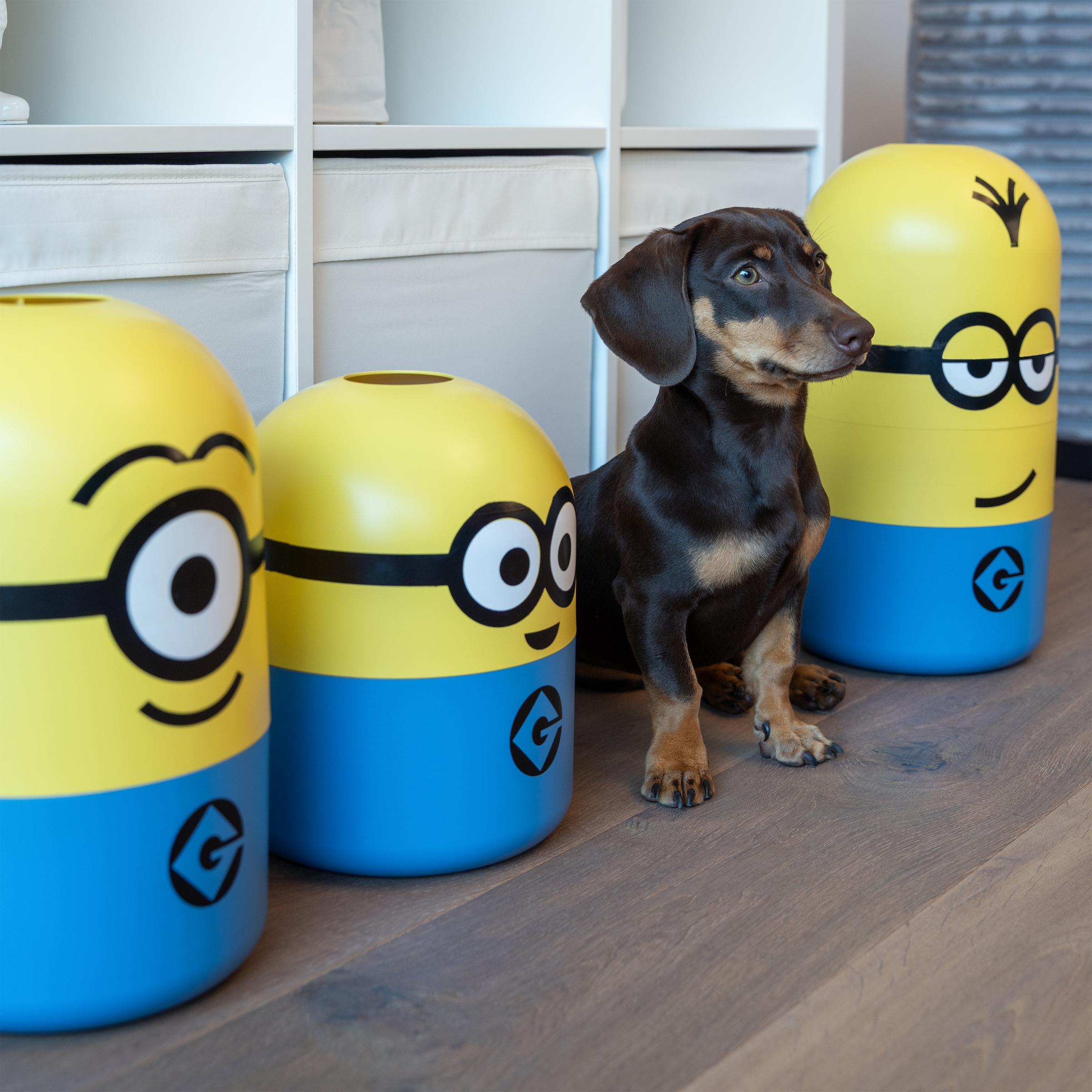 keeeper Aufbewahrungsbox »Kevin "minions" Aufbewahrungsdose 10L« keeeper mit Design aus "Ich einfach unverbesserlich"