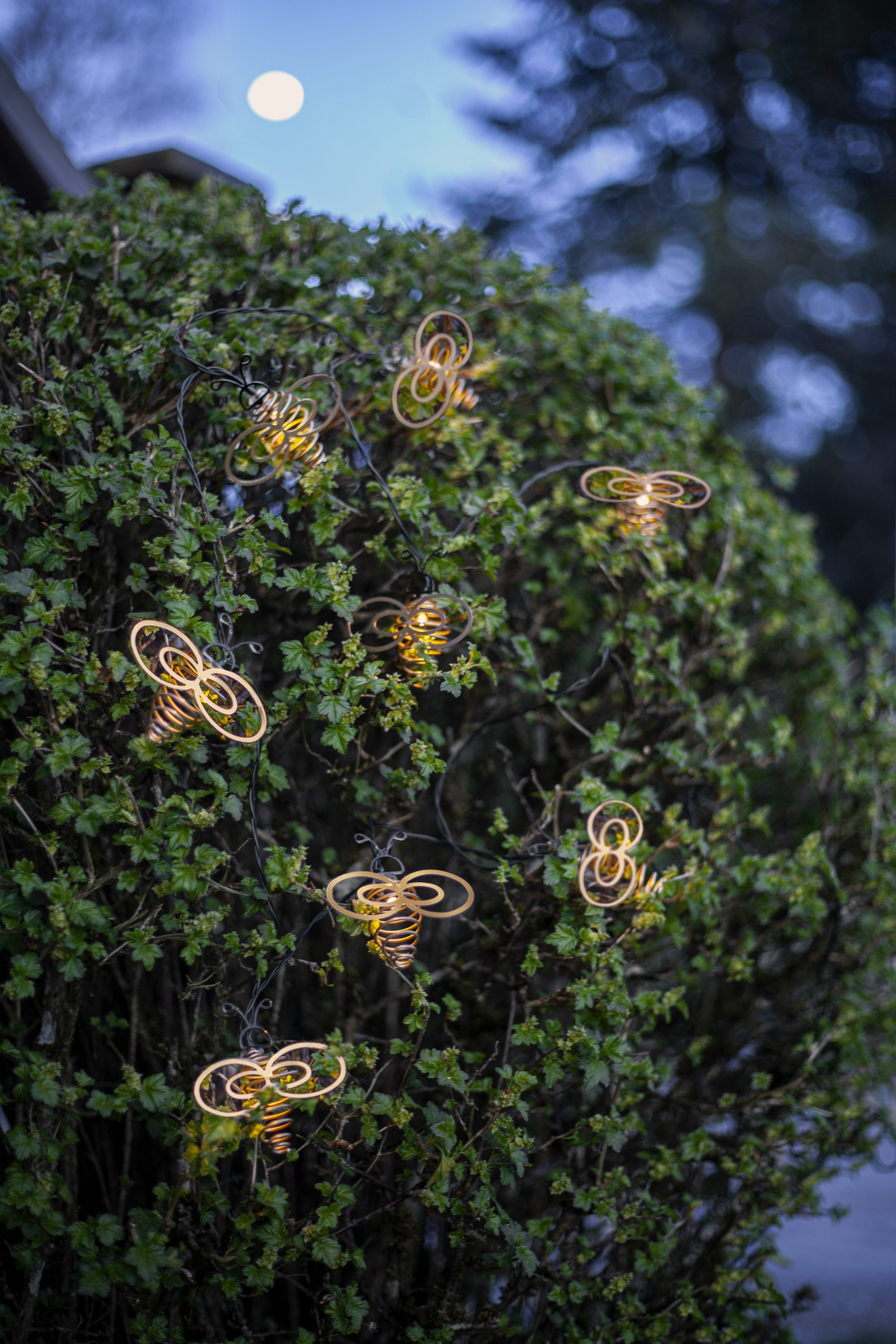 Parforce Traditional Hunting LED-Lichterkette »Wings« 8 Stk.-flammig warmw. LEDs ca. 10cm Ø, 210 cm Länge, Akku, Erdspieß, Vierfarb-Karton