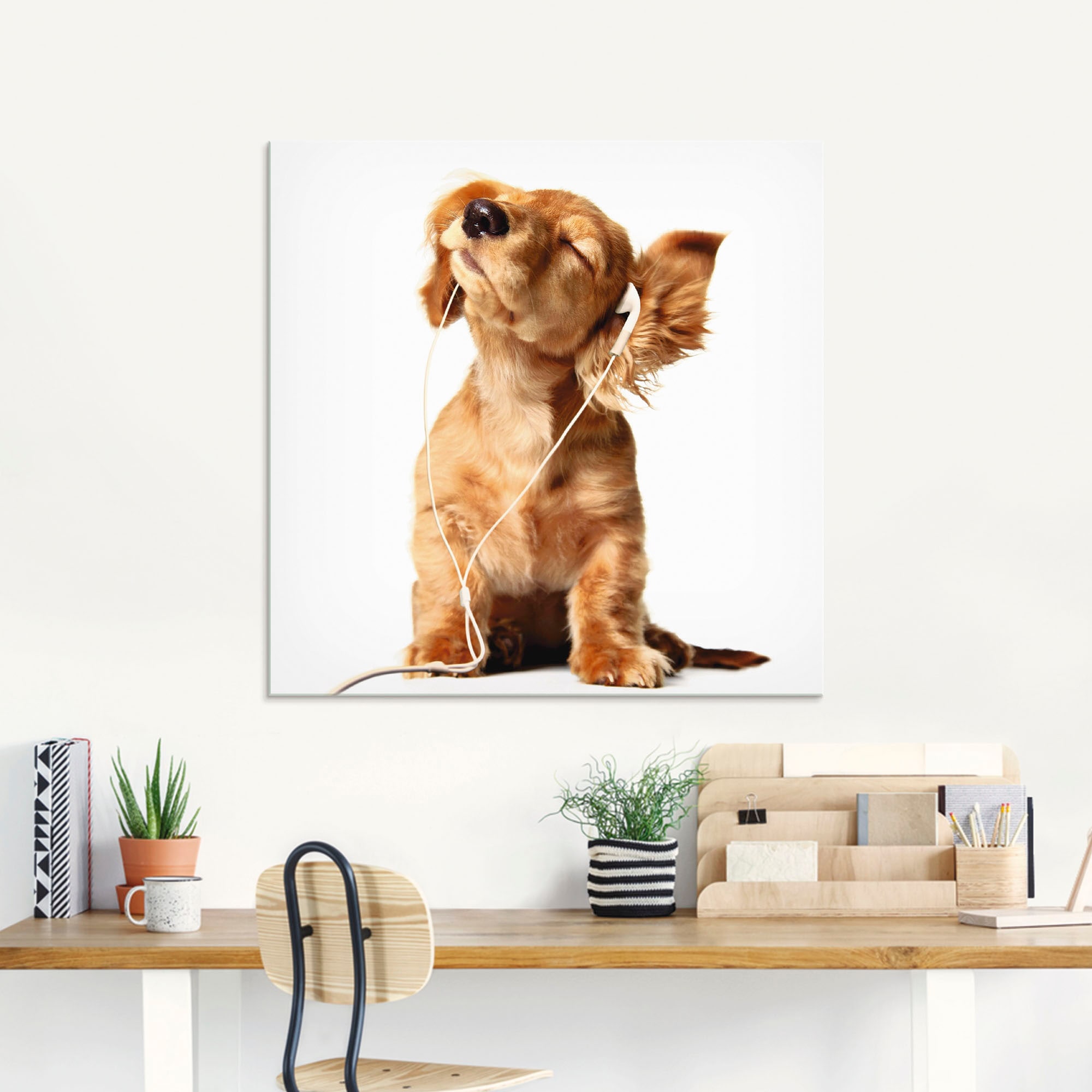 Artland Glasbild »Junger Hund hört Musik über Kopfhörer«, Haustiere, (1 St.), in verschiedenen Größen
