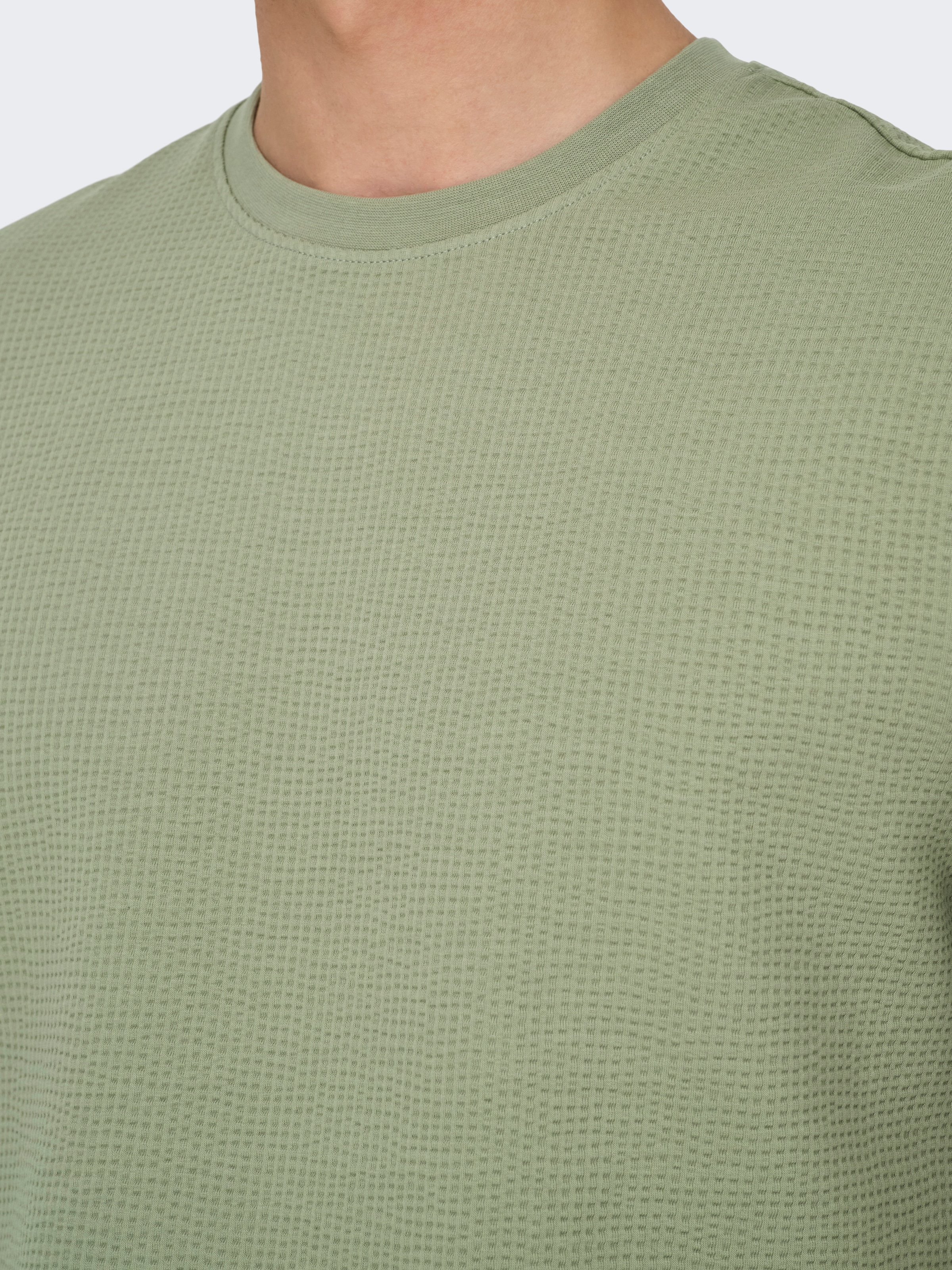 ONLY & SONS Rundhalsshirt »ONSKIAN LIFE REG SEERSUCKER SS TEE NOOS«