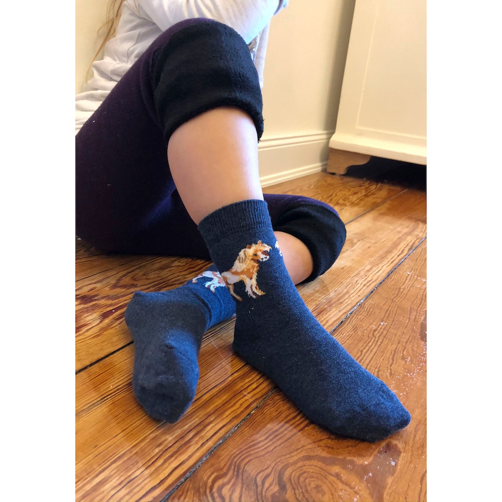 H.I.S Socken, (5 Paar)