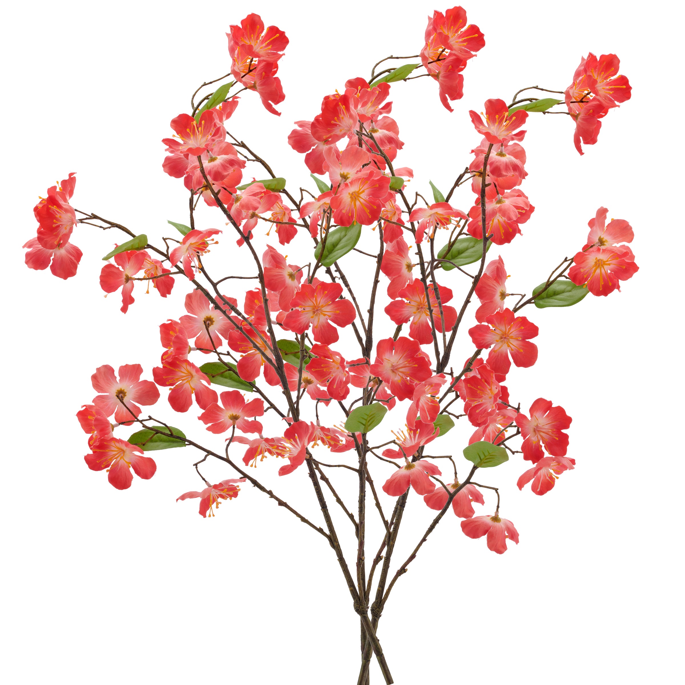 Creativ green Kunstzweig »Kirschblütenzweig« mit traumhaft schönen Blüten