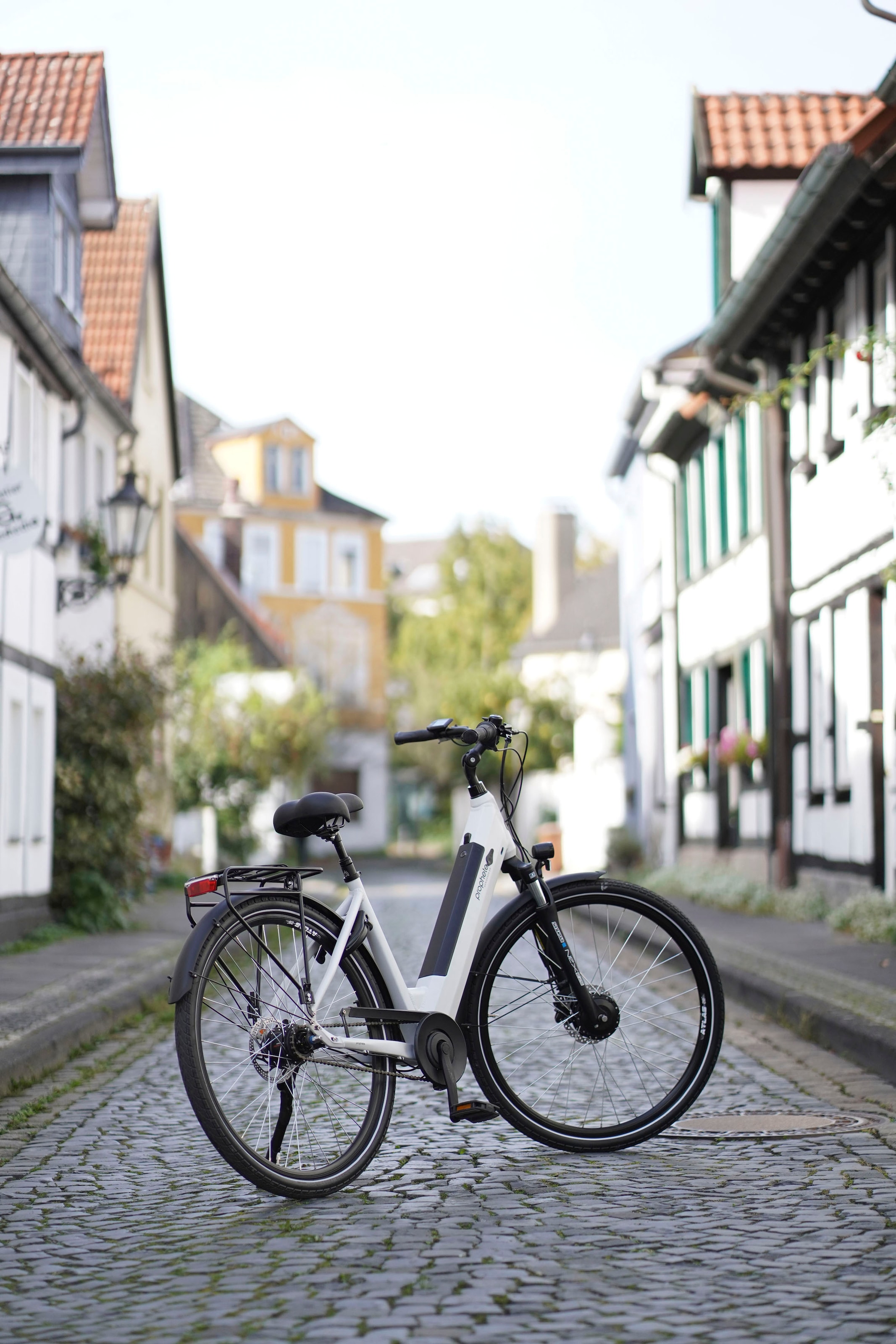 Prophete E-Bike »Geniesser 2.0«, 7 Gang, Shimano, Nexus, Frontmotor 250 W, Pedelec, Elektrofahrrad für Damen, Cityrad, inkl. Rahmenschloss