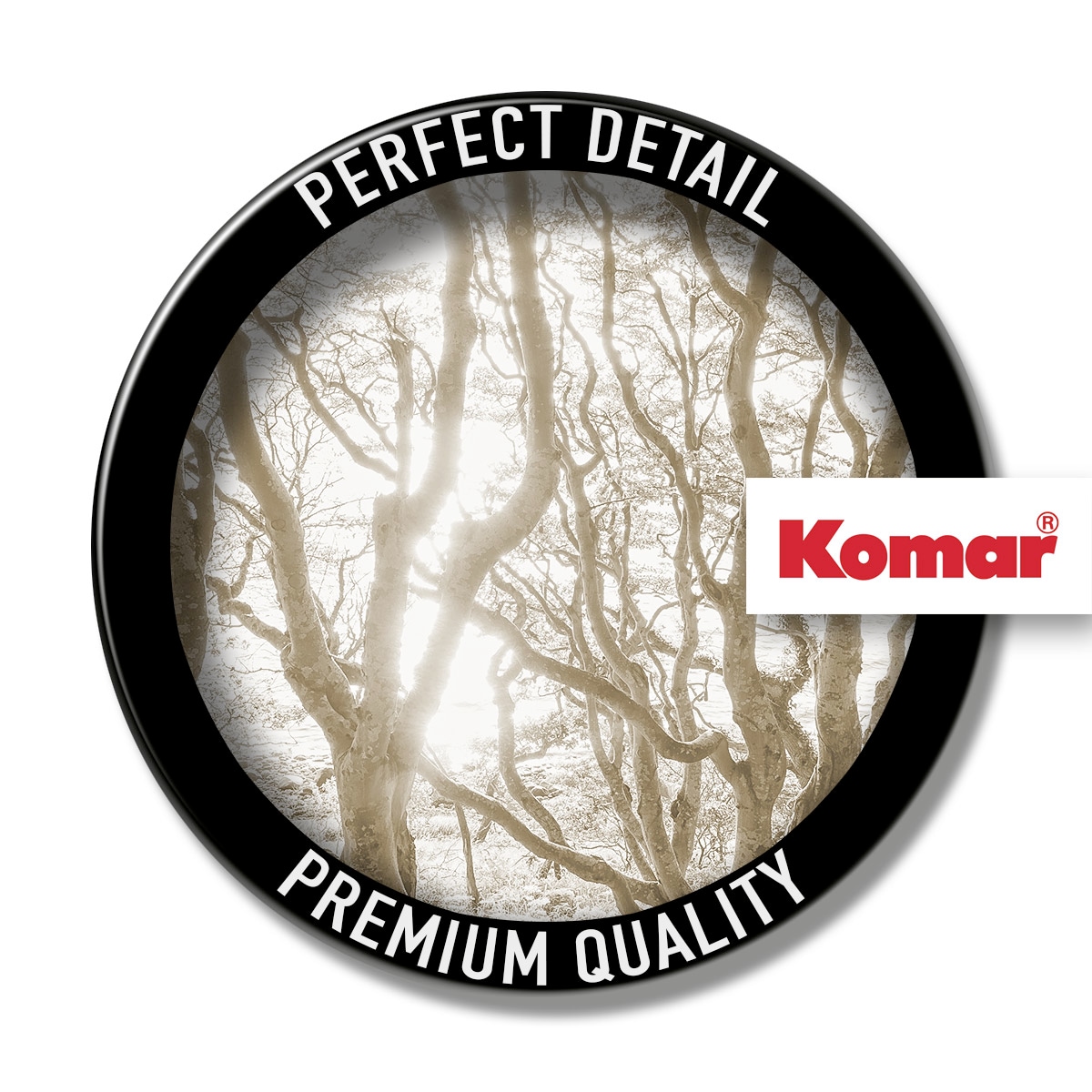 Komar Fototapete »Digitaldruck Vlies -  Bleached Birch - Größe 400 x 250 cm« bedruckt | floral | geblümt | gemustert | tropisch glatt Wohnzimmer, Schlafzimmer