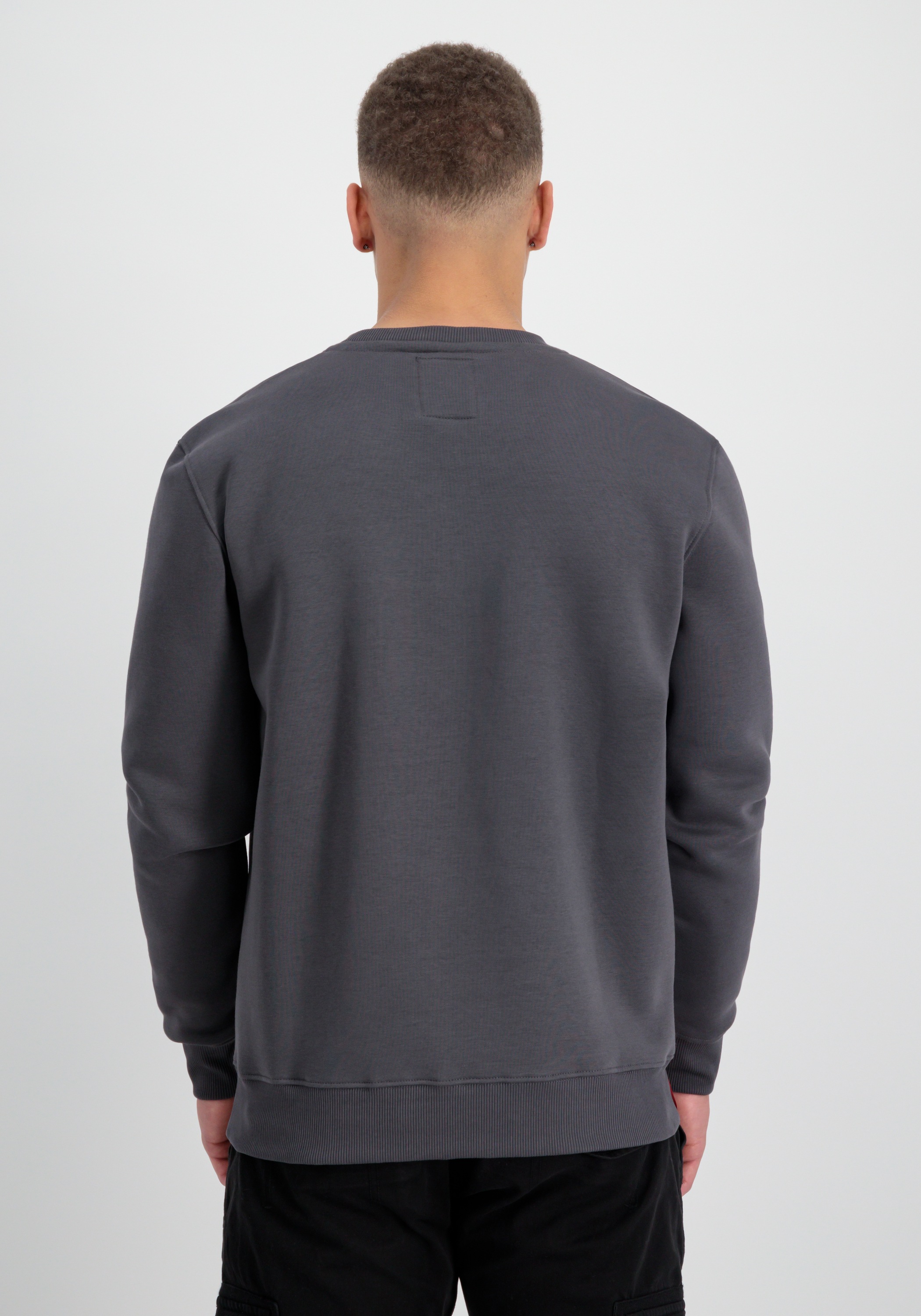 Alpha Industries Sweater »Alpha Industries Men - Sweatshirts Basic Sweatshirt Rubber ML«