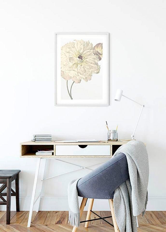 Komar Bild »Illustration Dahlia« 1 Stk. tlg. Wandbild zur Dekoration - ohne Rahmen