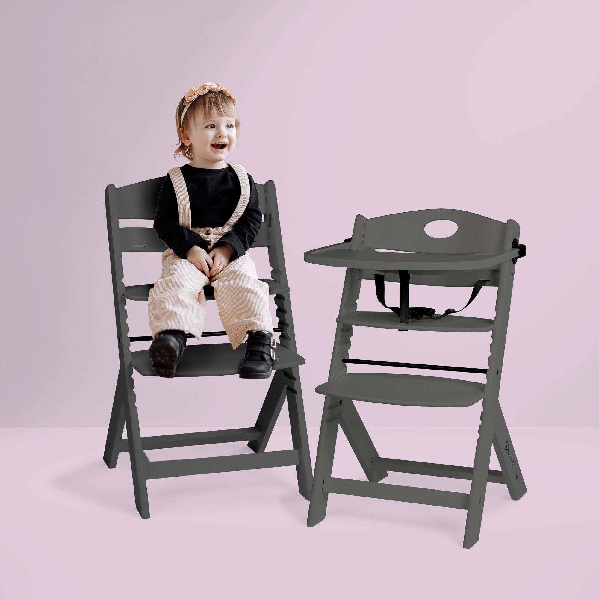 BabyGo Hochstuhl »Family Pro« ()