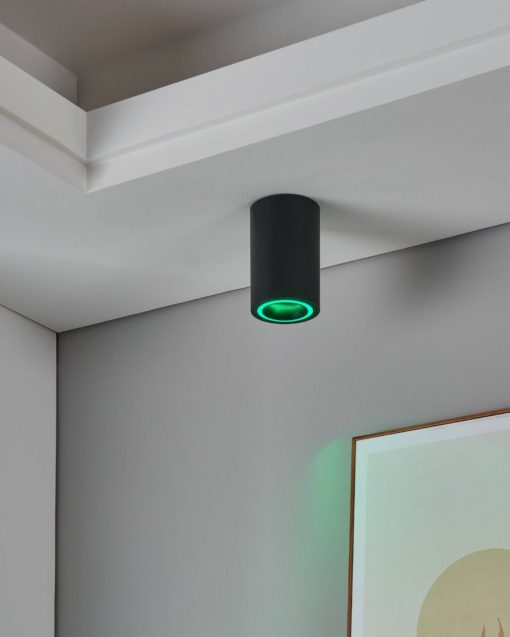 EGLO Aufbauleuchte »Carosso-Z Deckenlampe, ZigBee, App und Sprachsteuerung, dimmbar, Metal« GU10 1 Stk. Aufbauleuchte - H12 x Ø8 cm - schwarz - 1X4,9W inkl.