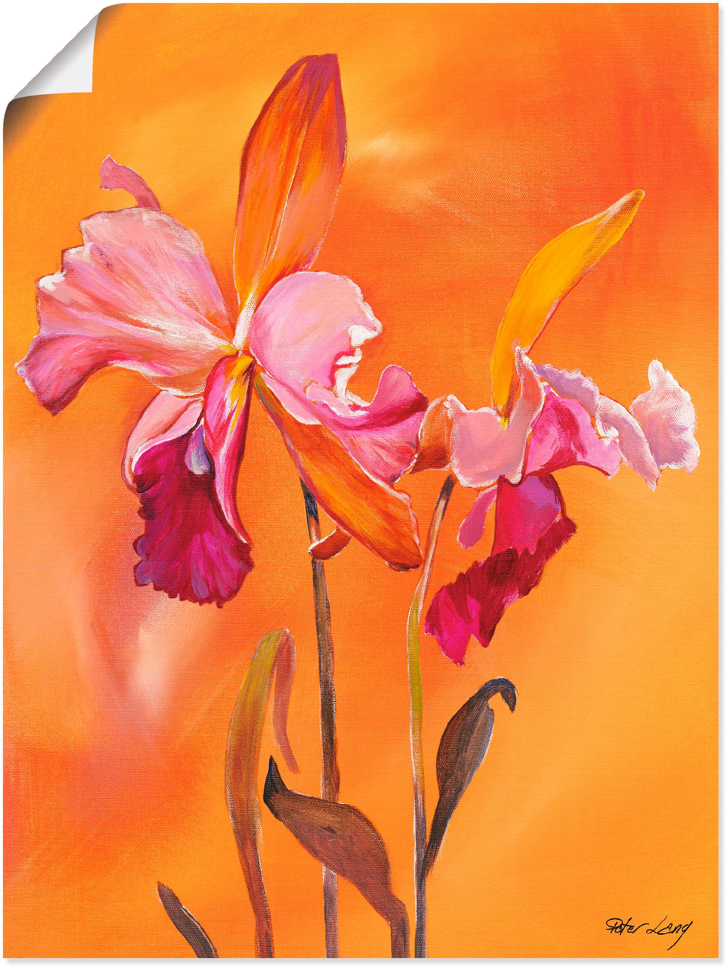 Artland Wandbild »Lilien-rosa«, Blumen, (1 St.), in vielen Größen & Produktarten - Alubild / Outdoorbild für den Außenbereich, Leinwandbild, Poster, Wandaufkleber / Wandtattoo auch für Badezimmer geeignet