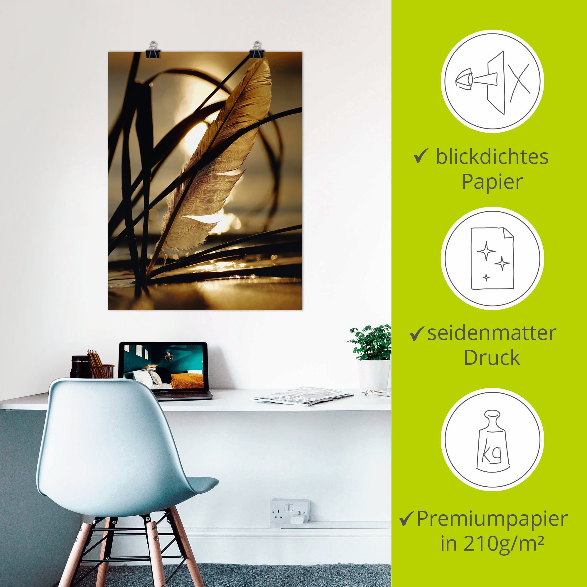 Artland Wandbild »Feder im Abendlicht« Gräser 1 Stk. tlg. als Leinwandbild, Poster in verschied. Größen