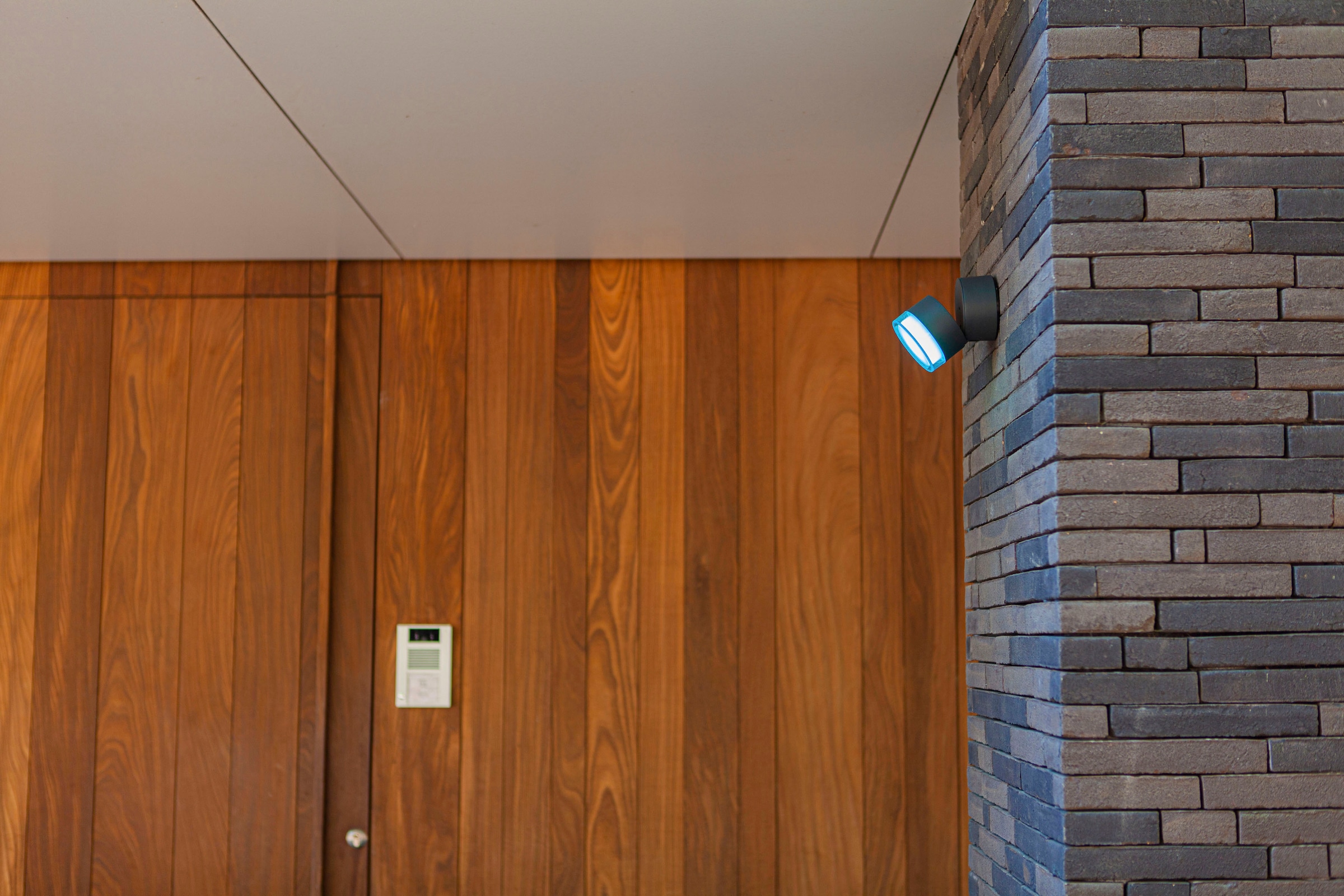 LUTEC Smarte LED-Leuchte »DROPSI«, Leuchtmittel LED-Modul | LED fest integriert, Smart-Home