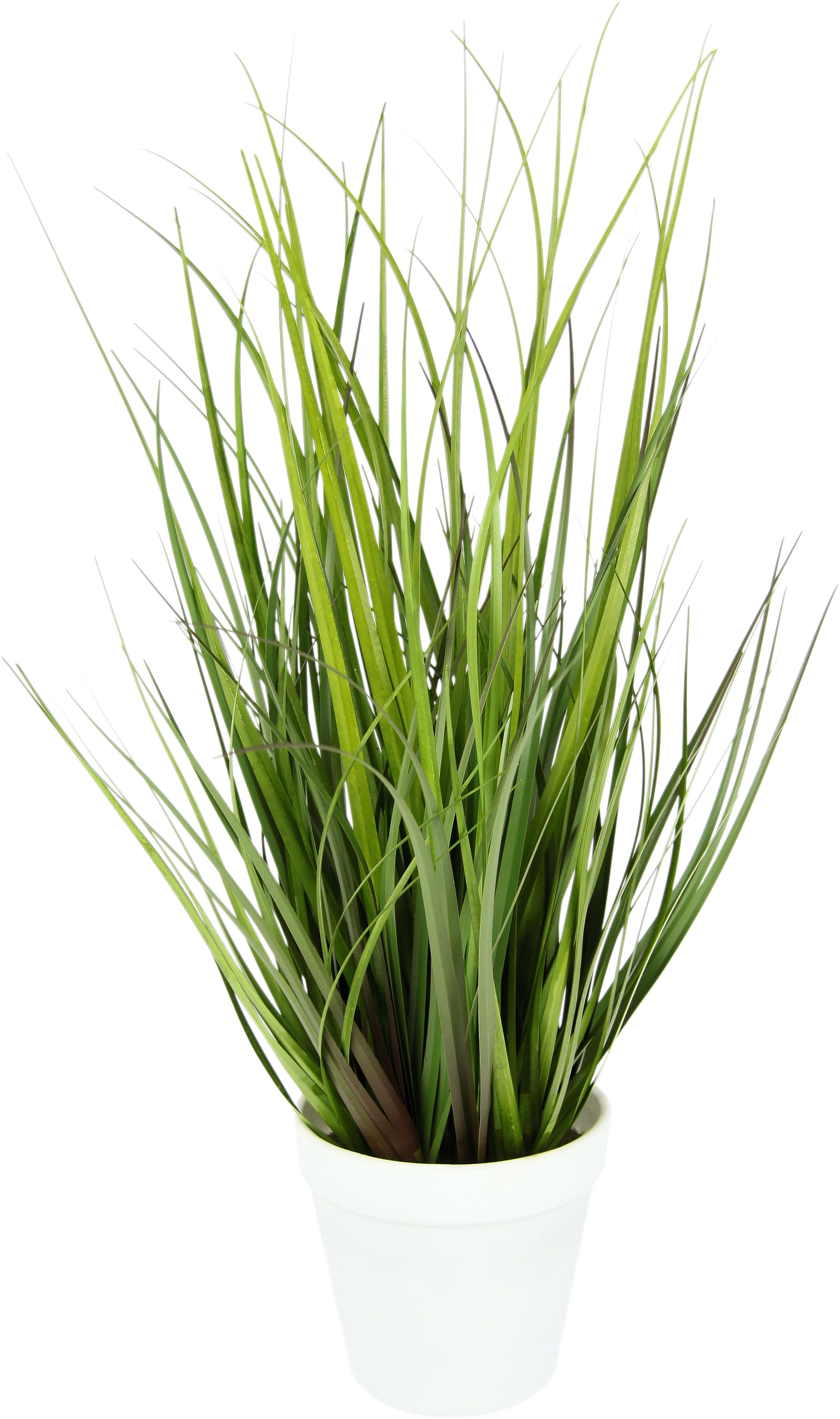 »Pothospflanze in I.GE.A. OTTO Wasserhyazinthentopf« bei Kunstpflanze online