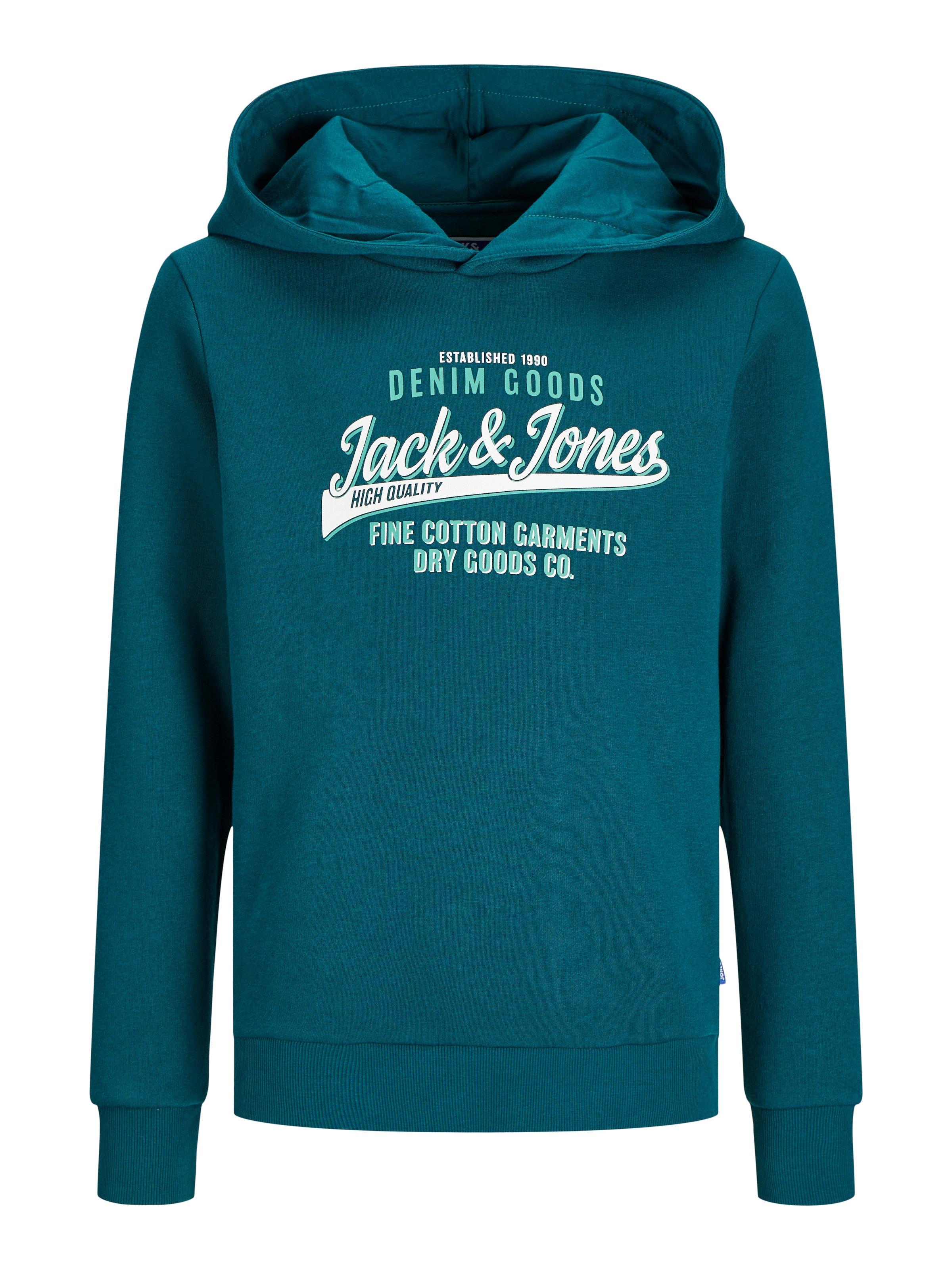 Jack & Jones Junior Kapuzensweatshirt »JJELOGO SWEAT HOOD 2 COL 24/25 NOOS JNR«