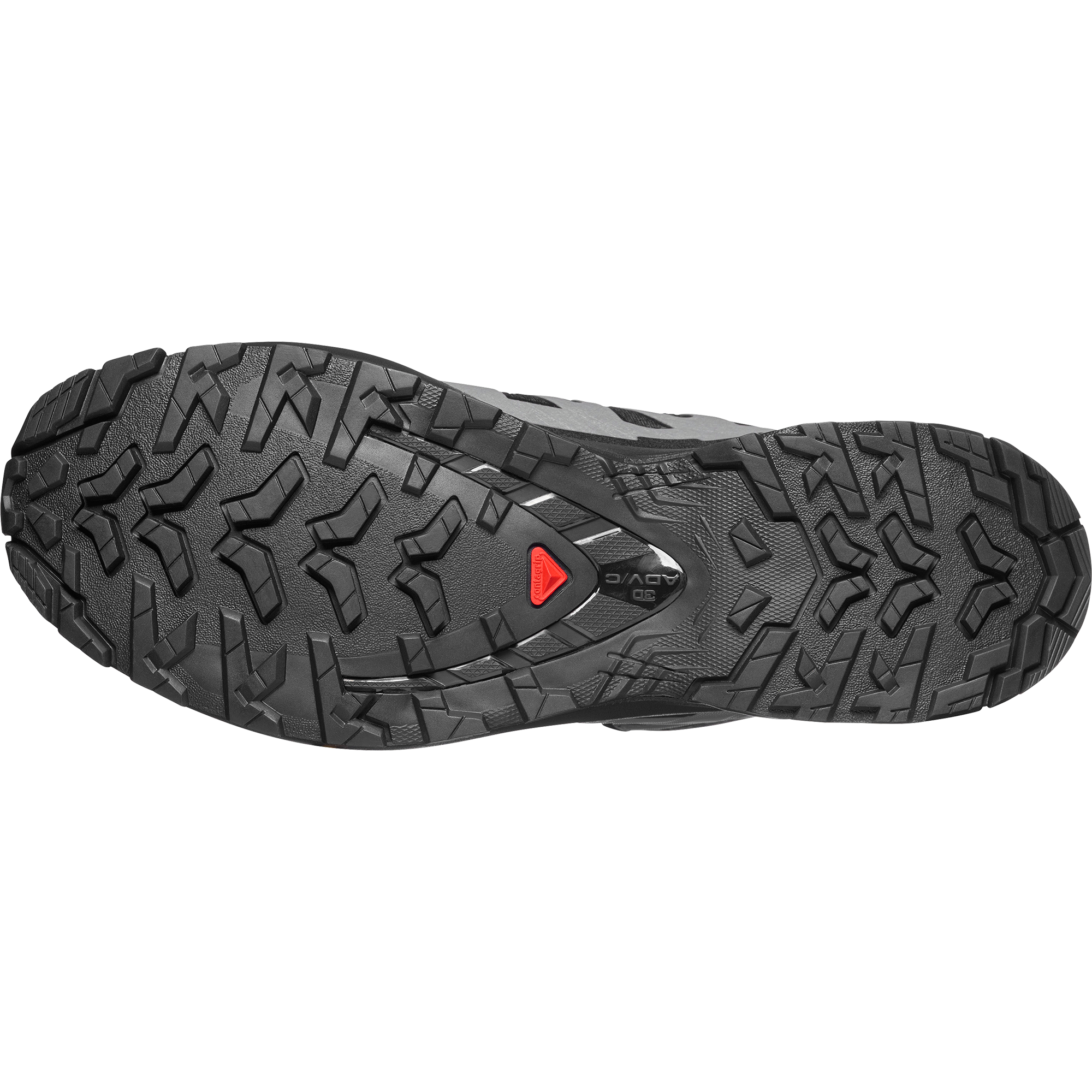 Salomon Trailrunningschuh »XA PRO 3D V9 GORE-TEX«  wasserdicht