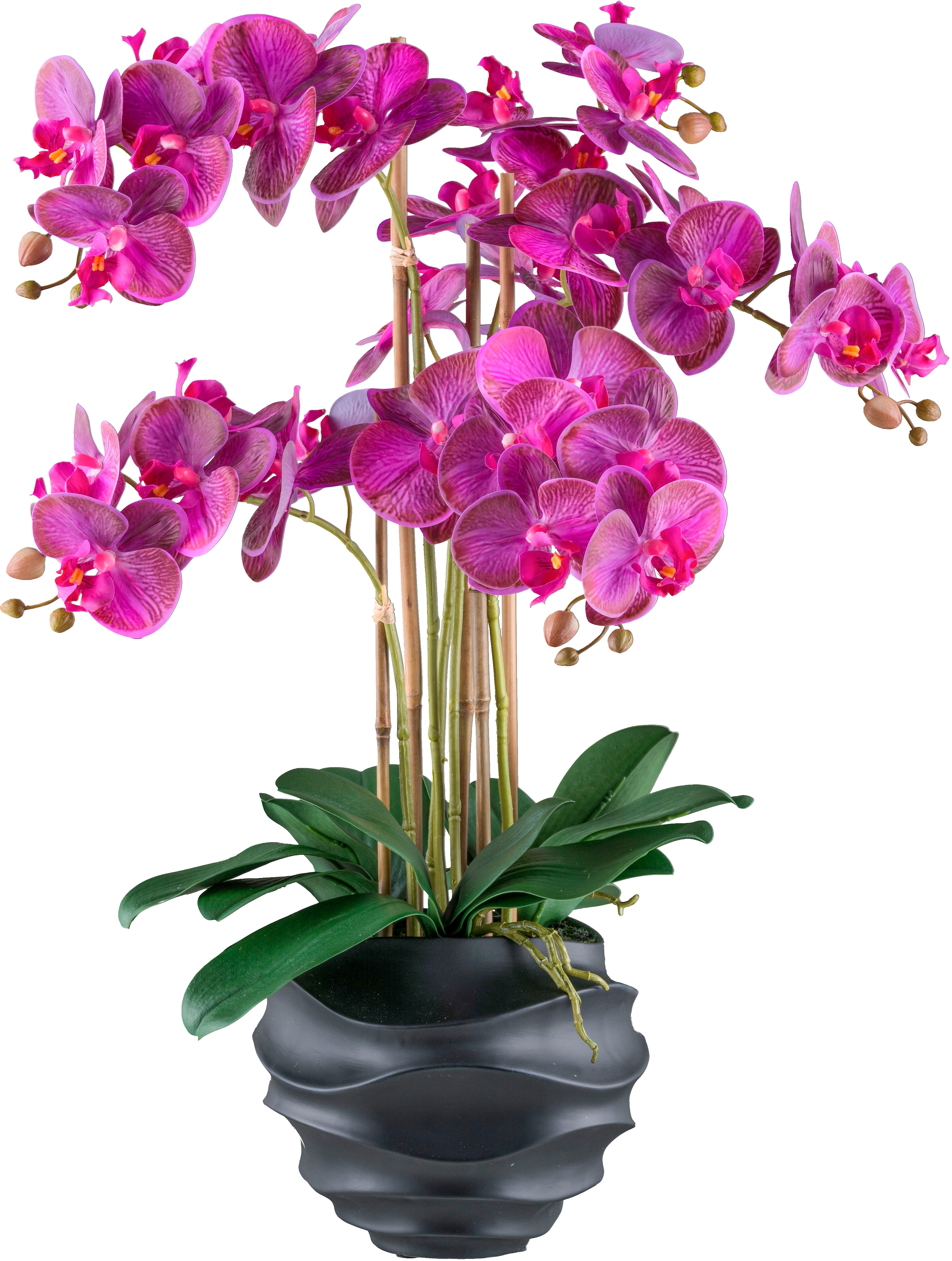 Kunstorchidee »Orchidee Phalaenopsis«, im Design-Topf