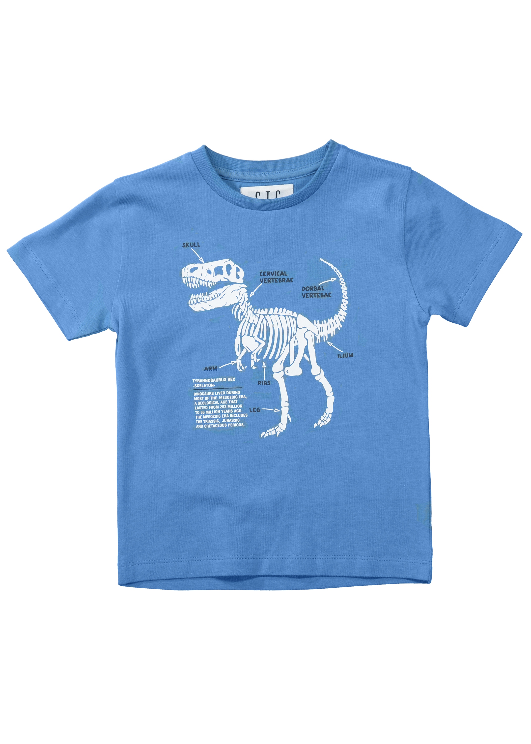 STACCATO T-Shirt »Dino«, 5-er Set