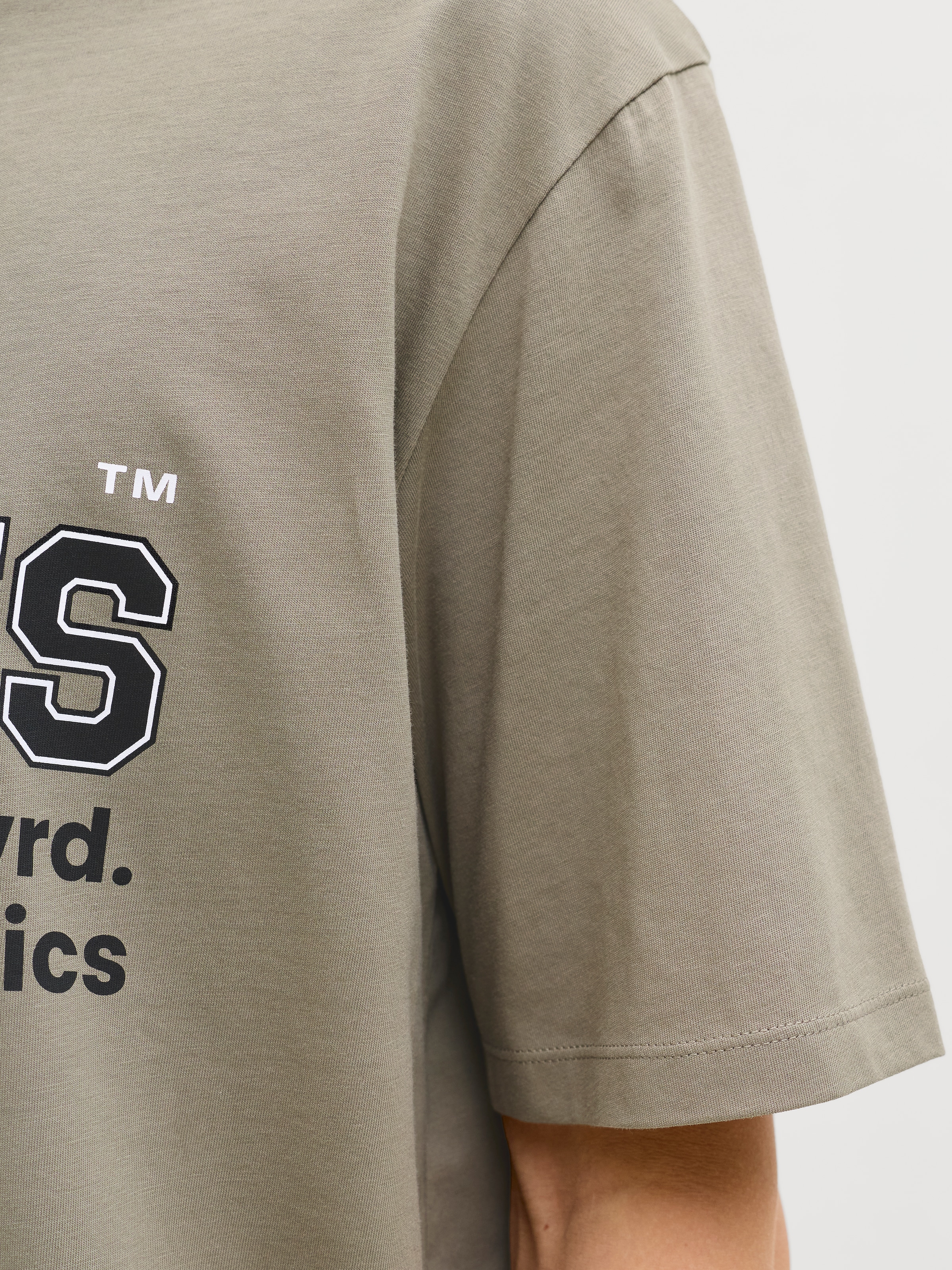 Jack & Jones PlusSize Rundhalsshirt »JJELOGO TEE SS O-NECK 2 COL SS26 SN PLS« mit auffälligem Print