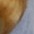bunt