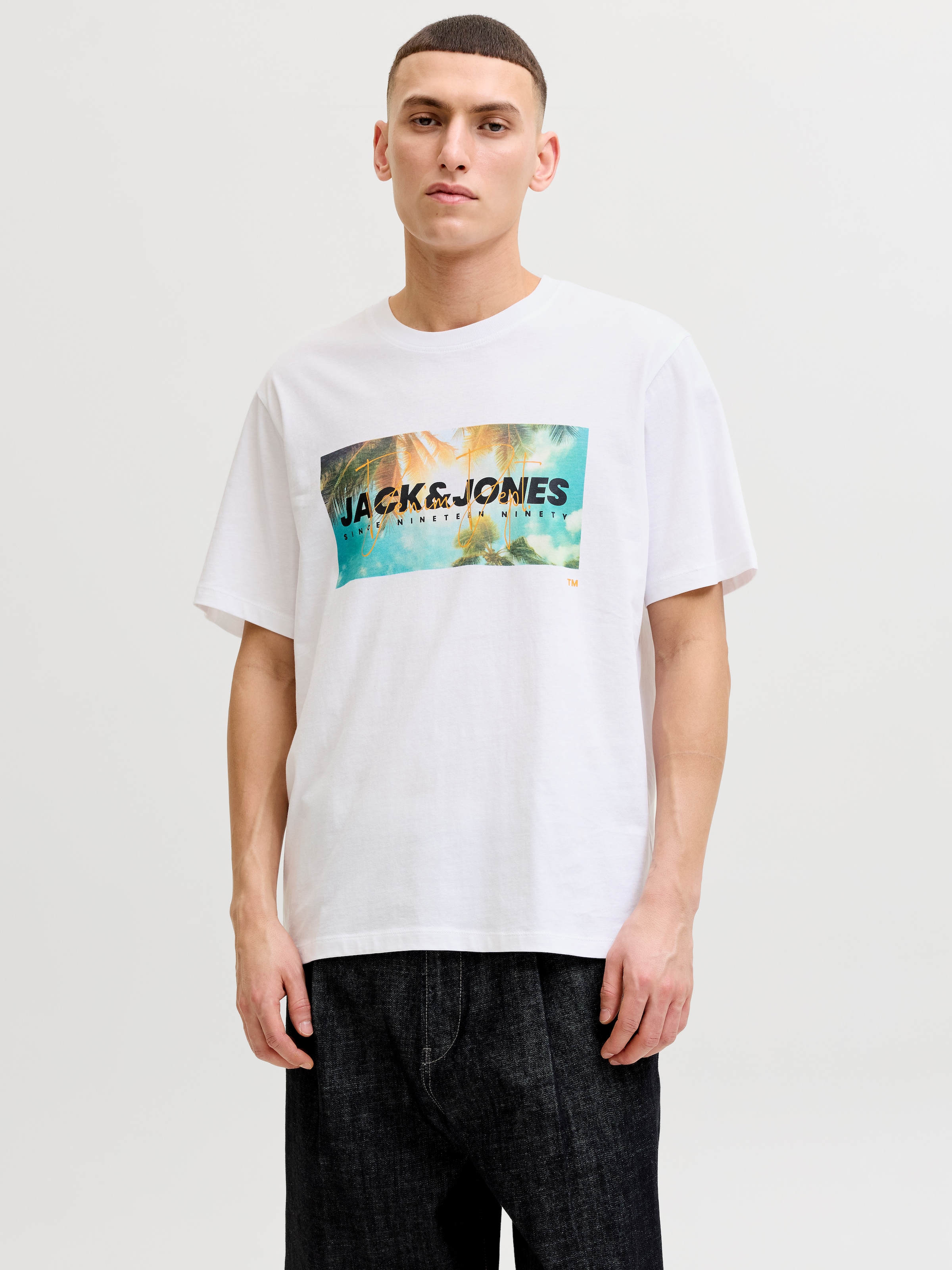 Jack & Jones Rundhalsshirt »JJINDIANA TEE SS CREW NECK«