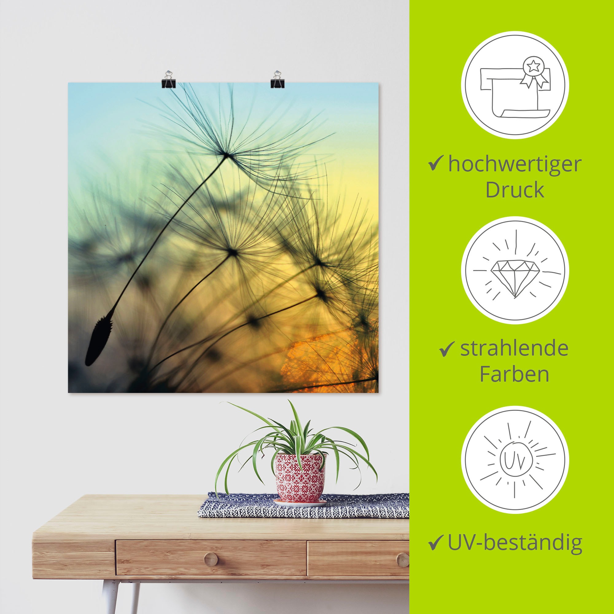 Artland Wandbild »Goldener Sonnenuntergang und Pusteblumen«, Blumen, (1 St.), als Alubild, Outdoorbild, Leinwandbild, Poster, Wandaufkleber