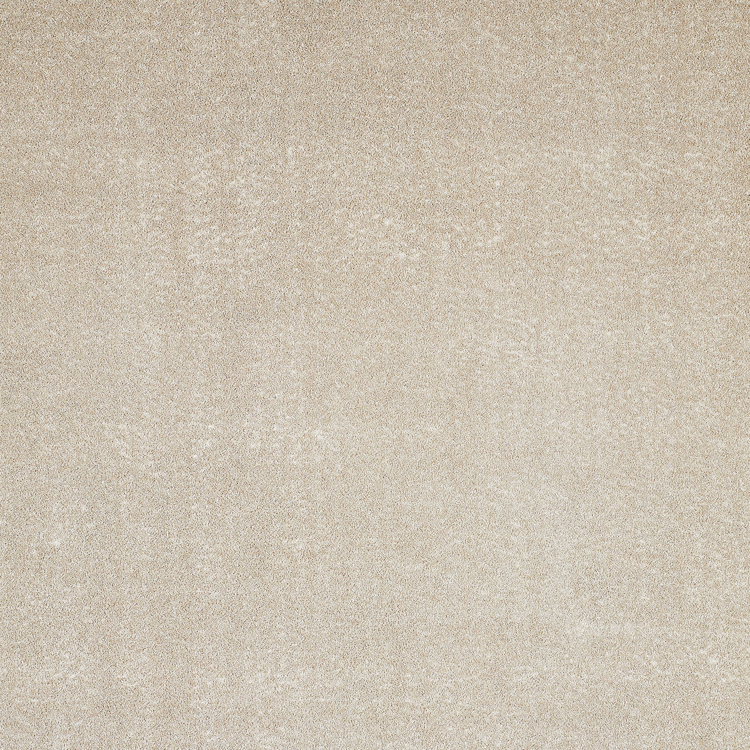 Andiamo Teppichboden »Portland, Velours, Made in Netherlands«, rechteckig, 11 mm Höhe, Uni Farben, Breite 400 cm, Wohnzimmer, strapazierfähig, pflegeleicht