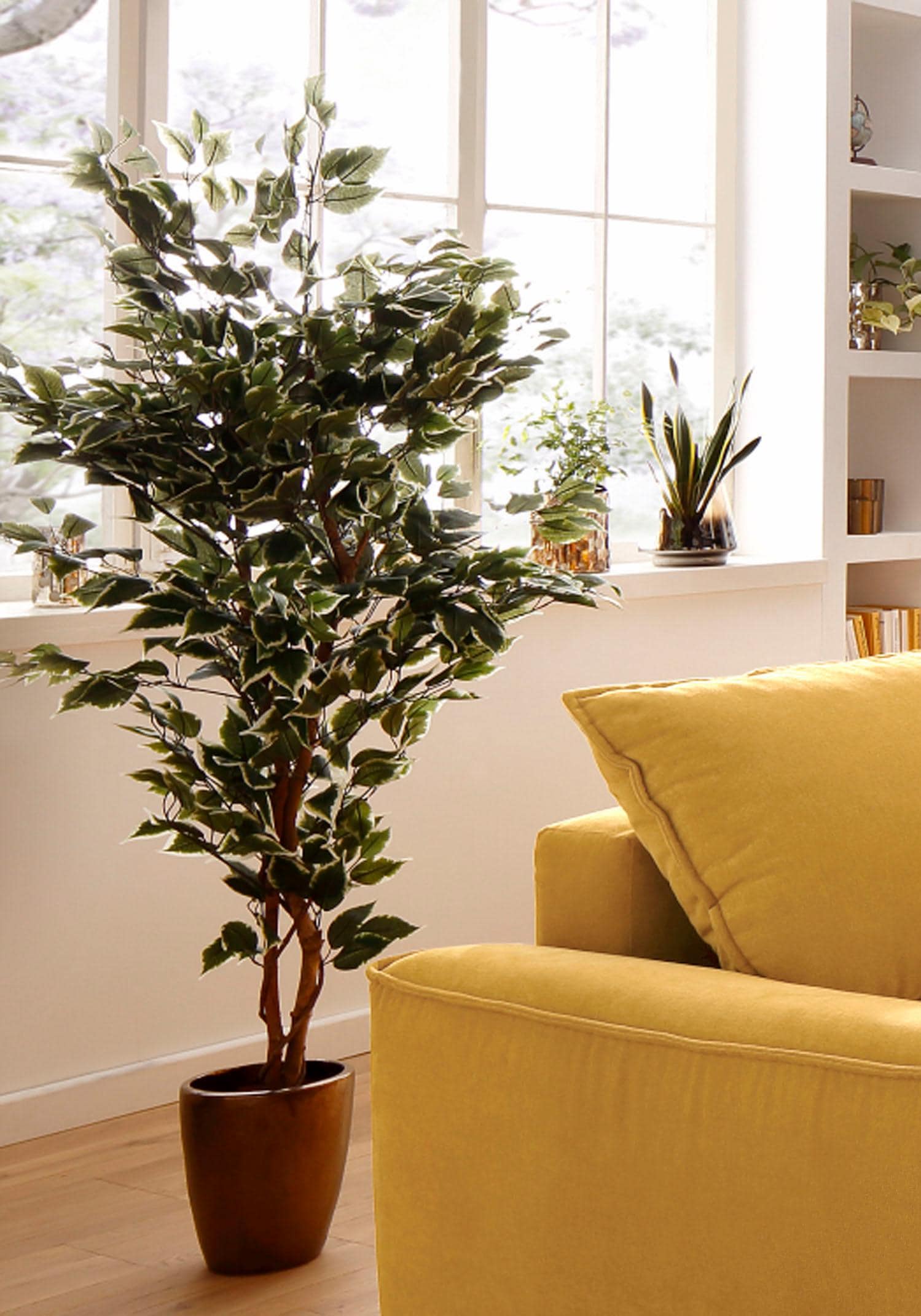 Kunstpflanze »Ficus St.) im green (1 Creativ Benjamini«, OTTO Shop Online