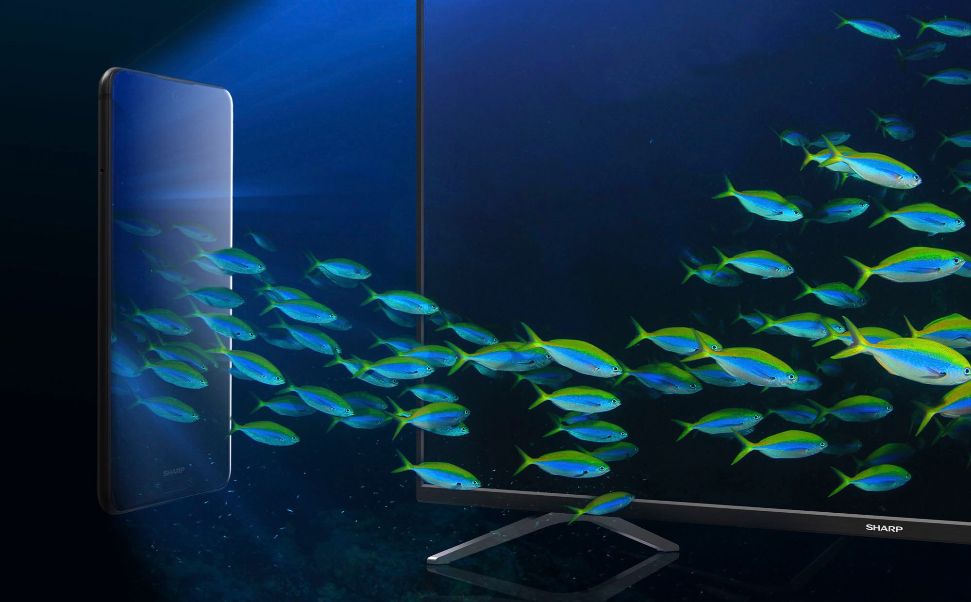 Sharp LED-Fernseher »2T-C40FEx«, Full HD, Smart-TV
