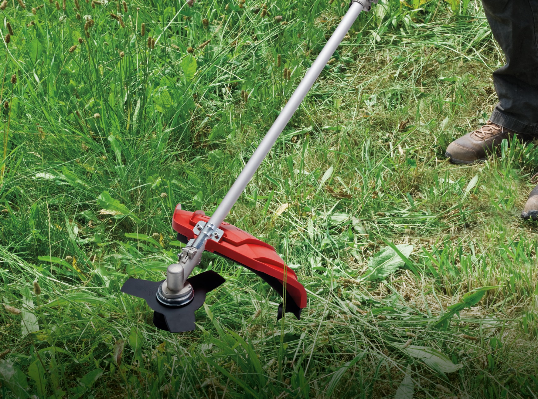 Einhell Sense »Einhell Benzin-Sense GC-BC 25/1 I AS«