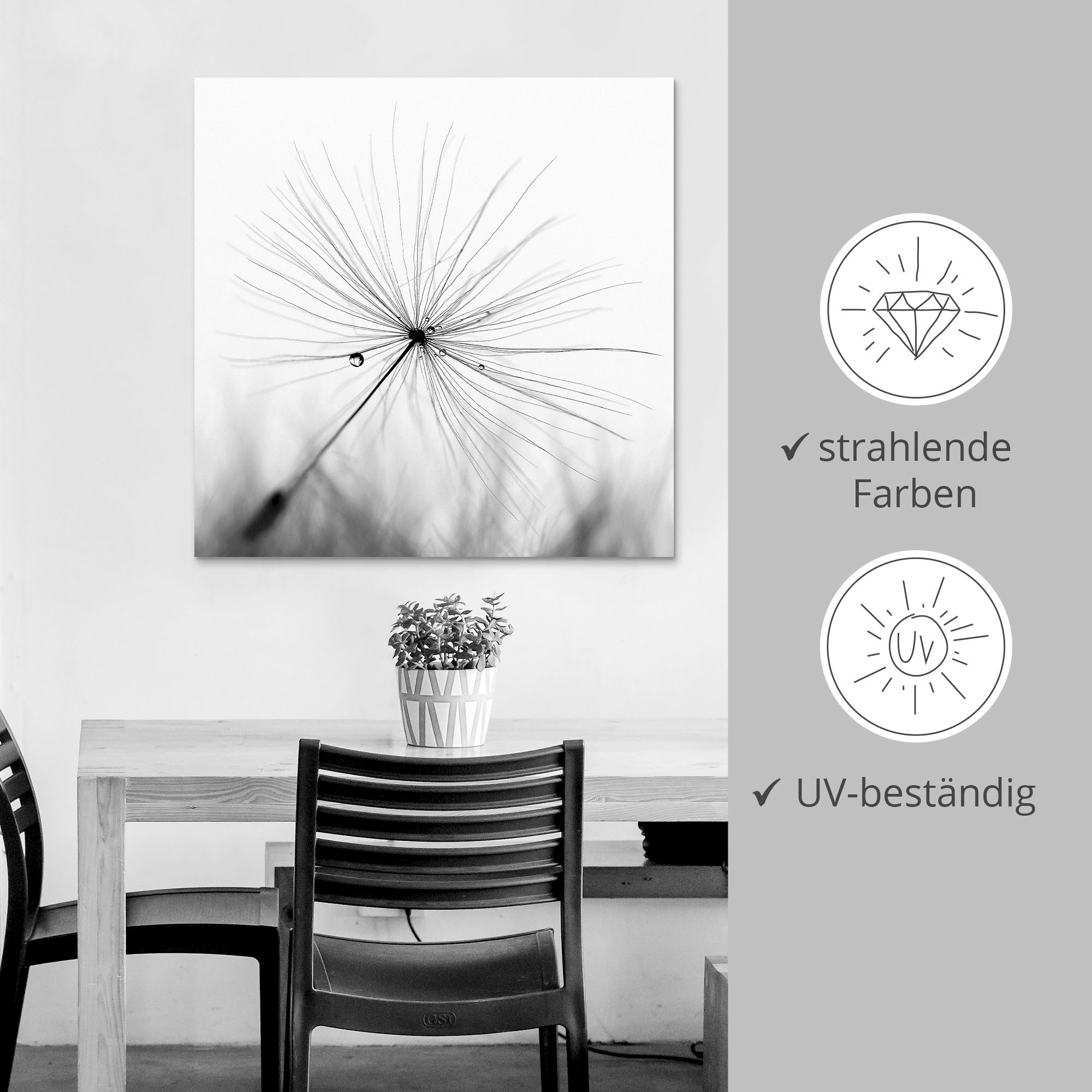 Artland Wandbild »Pusteblume Schirmchen«, Blumen, (1 St.), als Alubild, Outdoorbild, Leinwandbild, Poster, Wandaufkleber