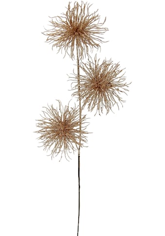 I.GE.A. Kunstblume »Protea«, Kunstzweig kaufen