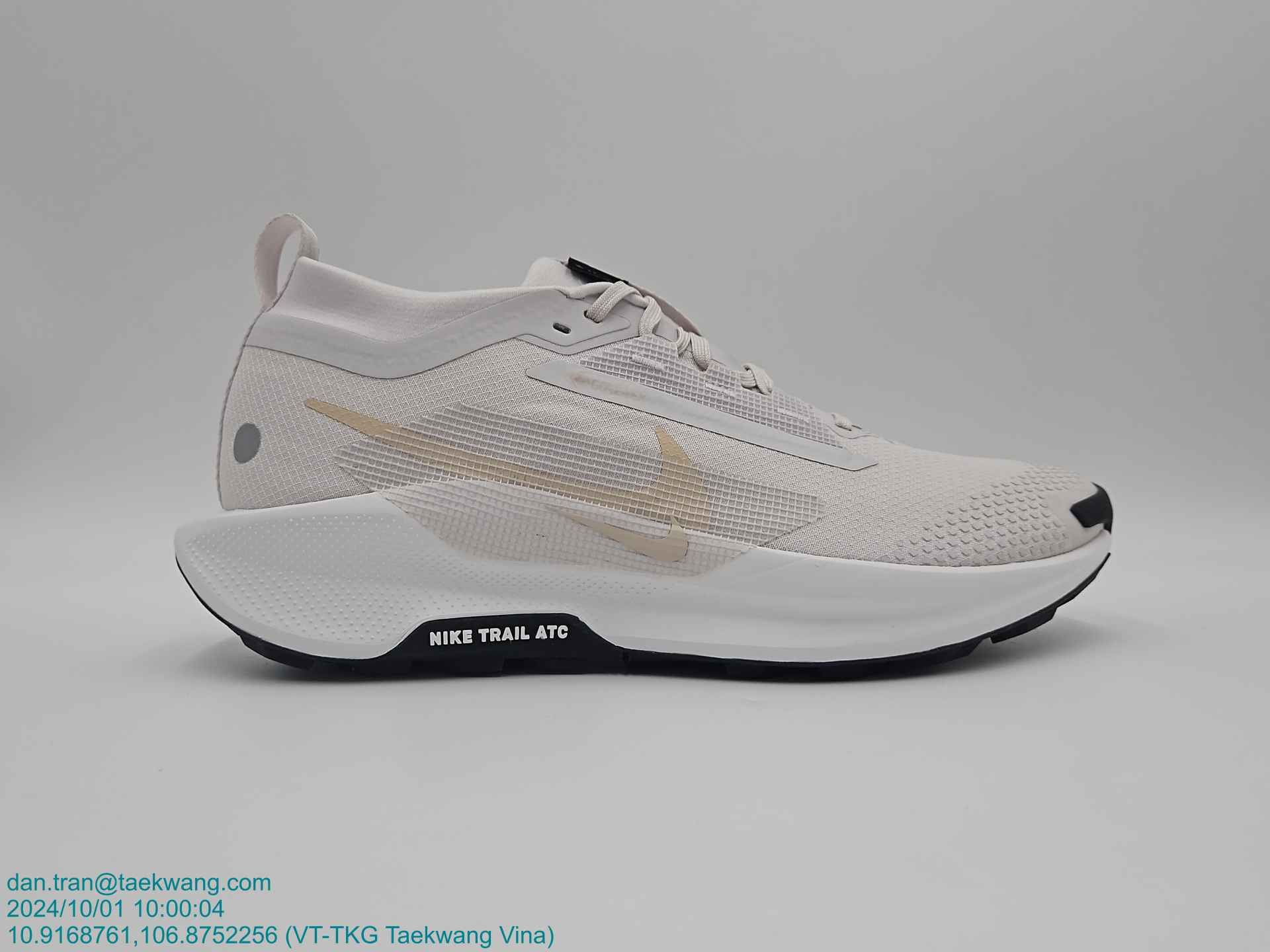 Nike Laufschuh »NIKE PEGASUS TRAIL 5 GTX«  wasserdicht