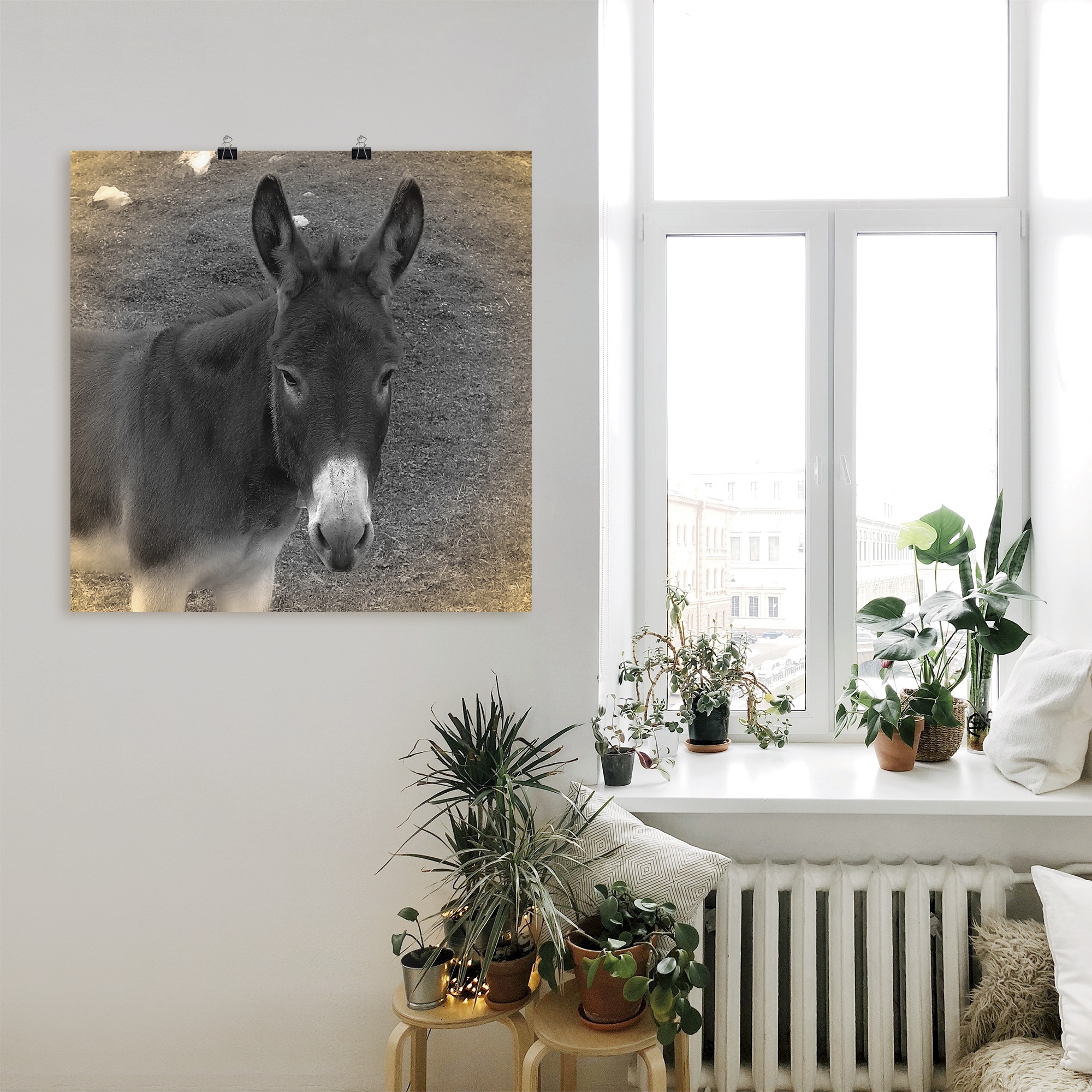Artland Wandbild »Esel Kontakt«, Haustiere, (1 St.), als Leinwandbild, Poster in verschied. Größen