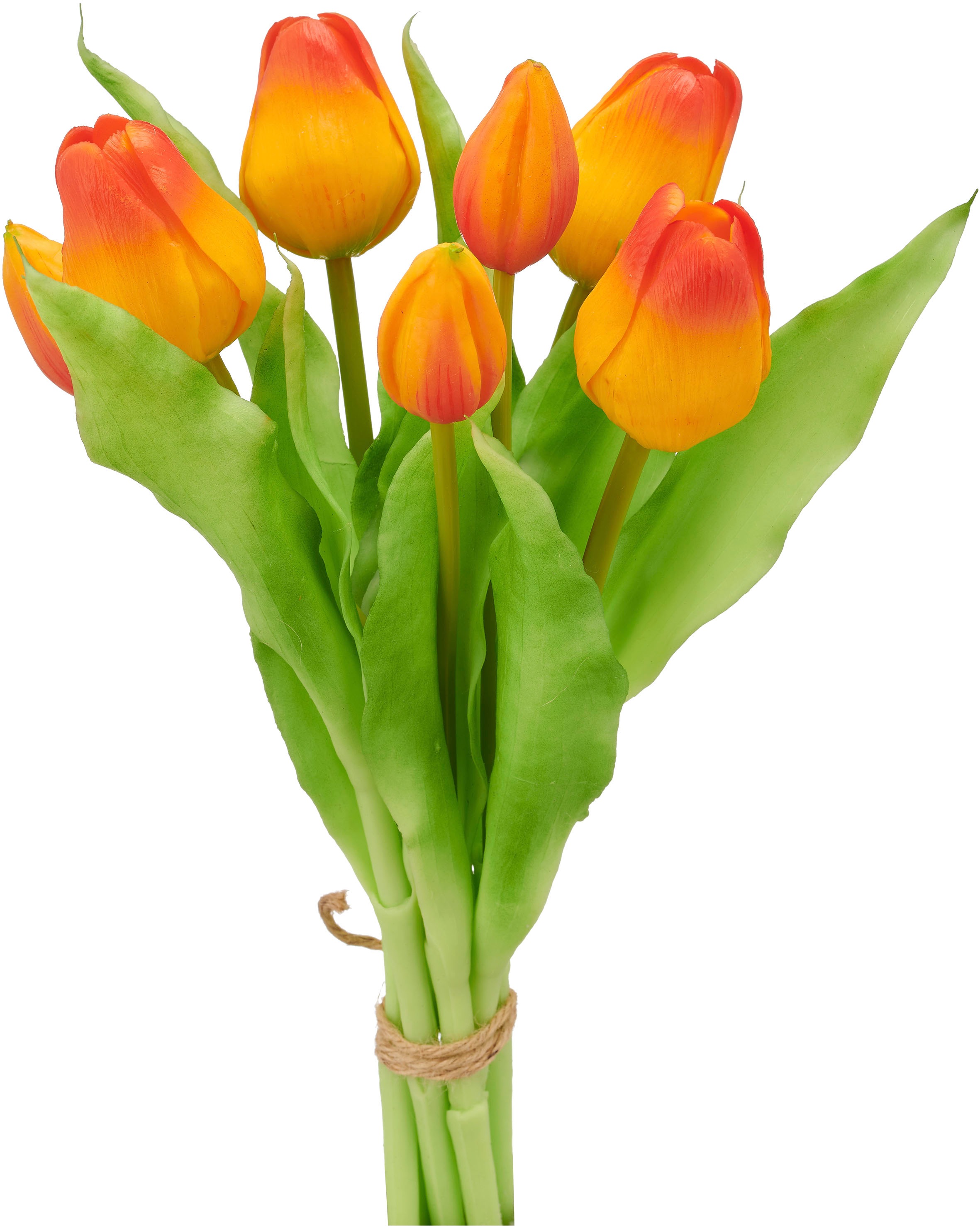 Creativ green Kunsttulpe »Tulpenbund« in schöner Farbe