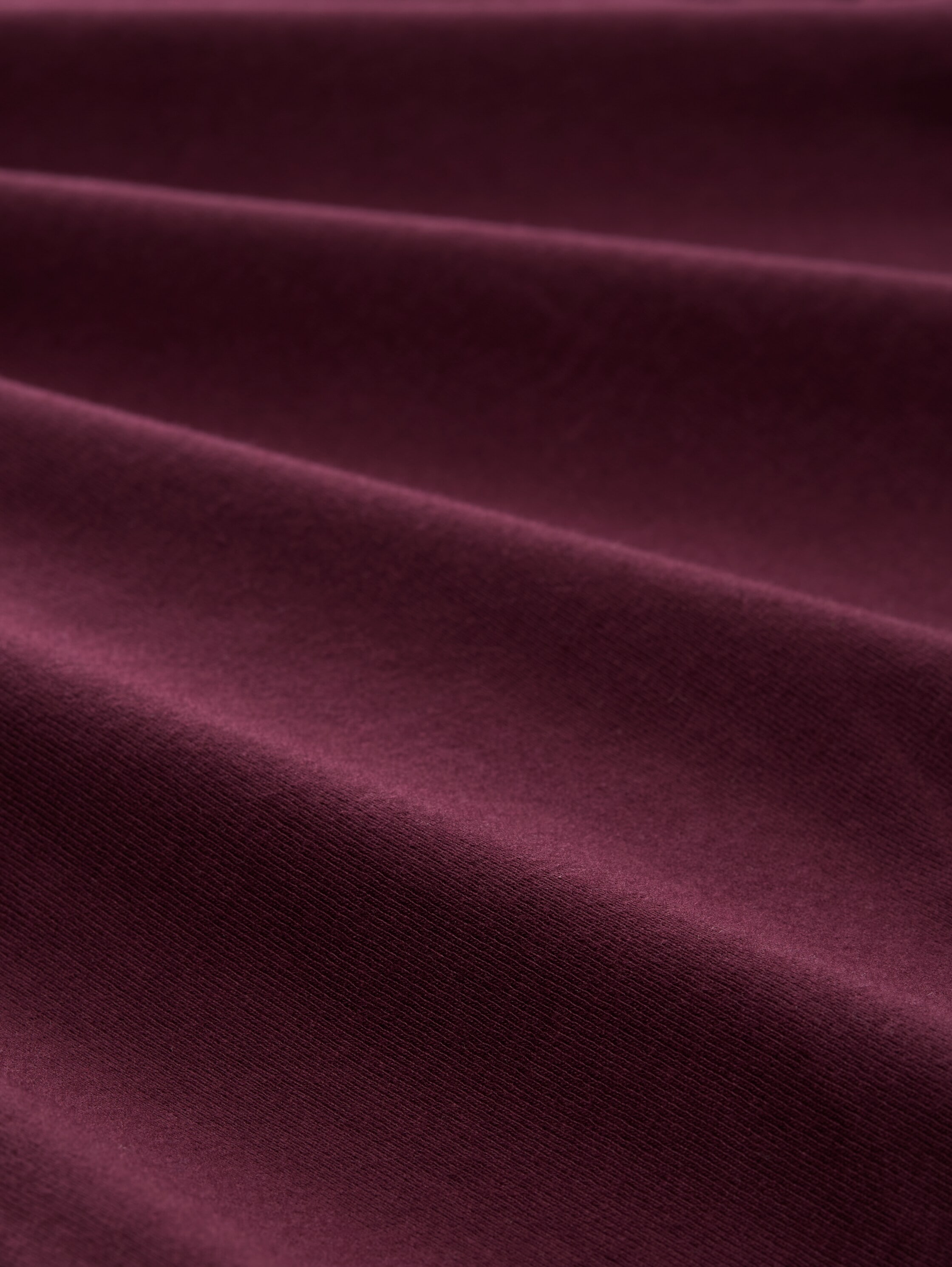 TOM TAILOR Rollkragenshirt, mit Rollkragen