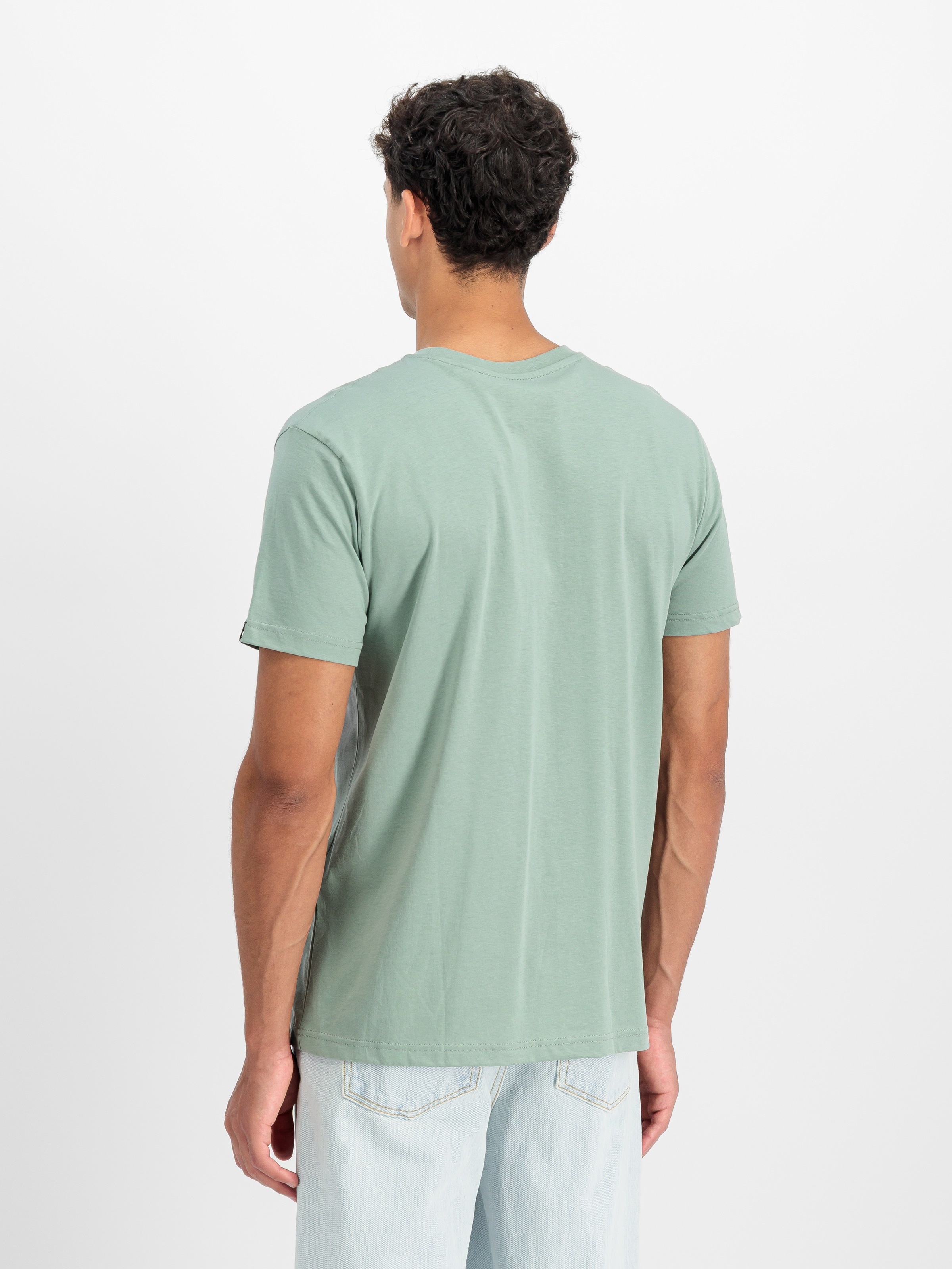 Alpha Industries T-Shirt »Basic T-Shirt« Baumwolle, regular fit