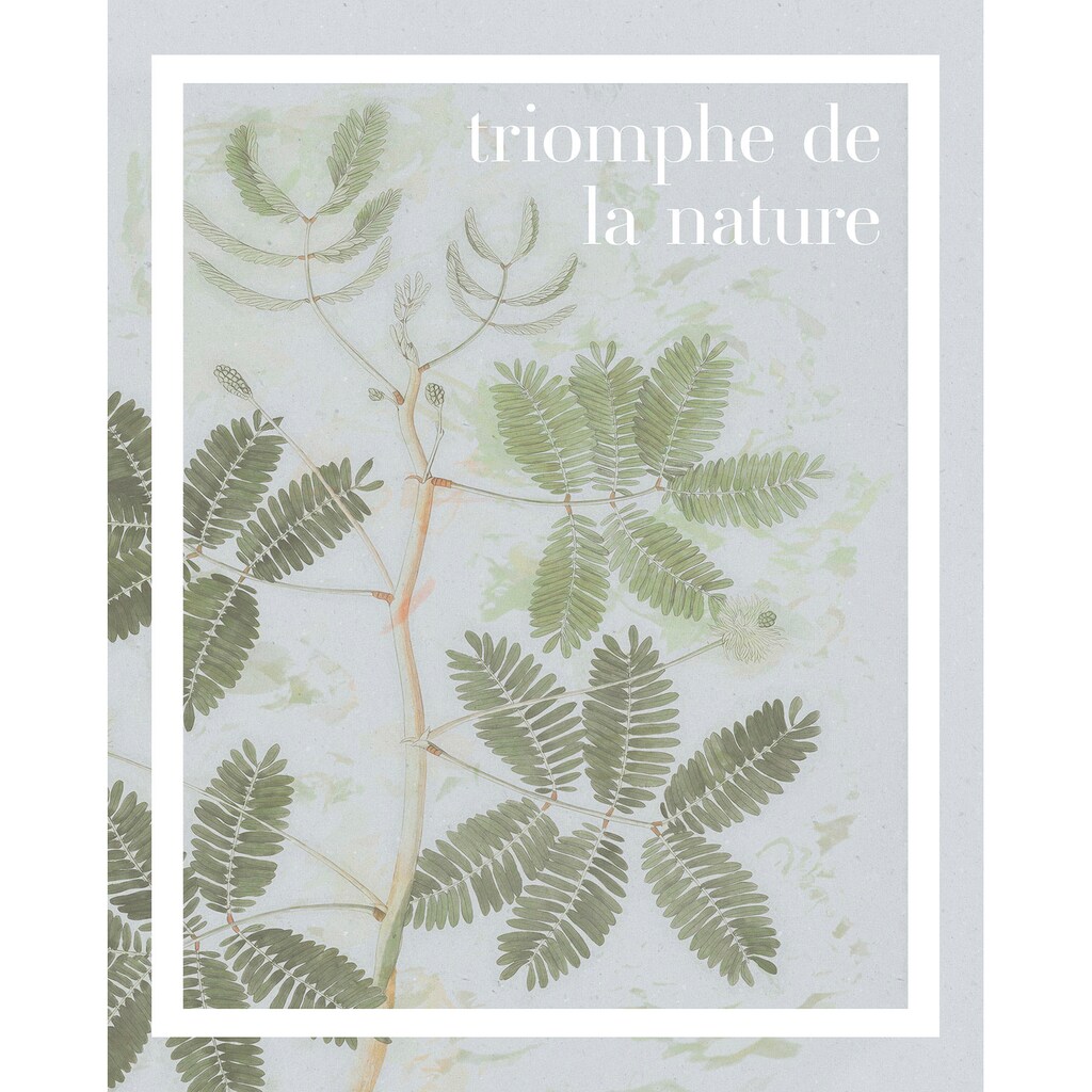 Komar Wandbild »Triomphe de la nature«, (1 St.), Deutsches Premium-Poster Fotopapier mit seidenmatter Oberfläche und hoher Lichtbeständigkeit. Für fotorealistische Drucke mit gestochen scharfen Details und hervorragender Farbbrillanz.