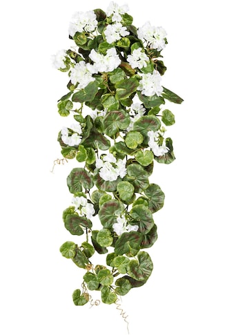 Creativ green Kunstpflanze »Geranienhänger«, (1 St.) kaufen